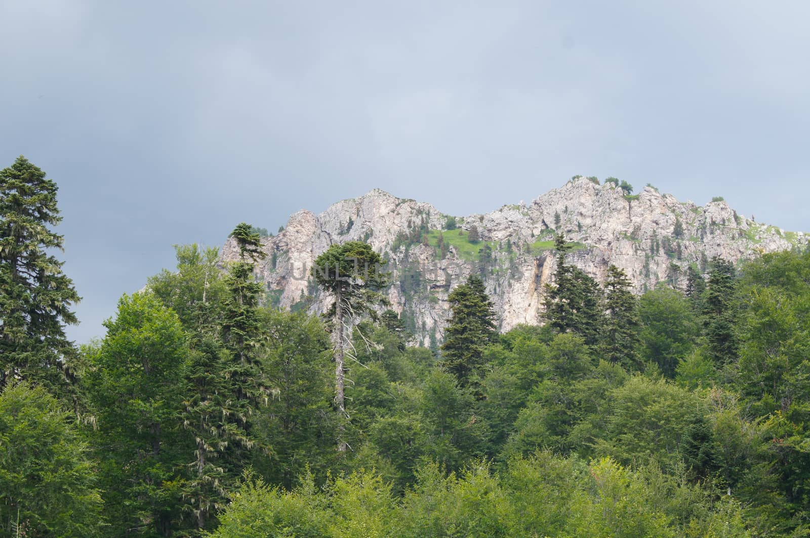 Mountains of the Caucasian natural reserve