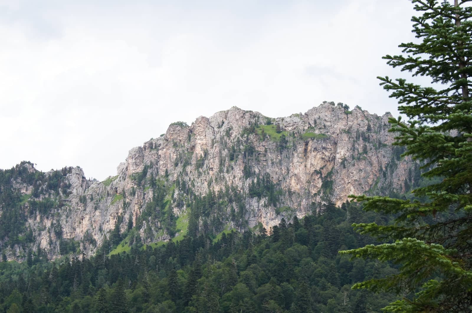 Mountains of the Caucasian natural reserve