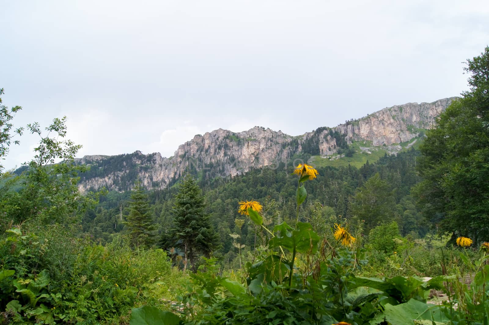 Mountains of the Caucasian natural reserve