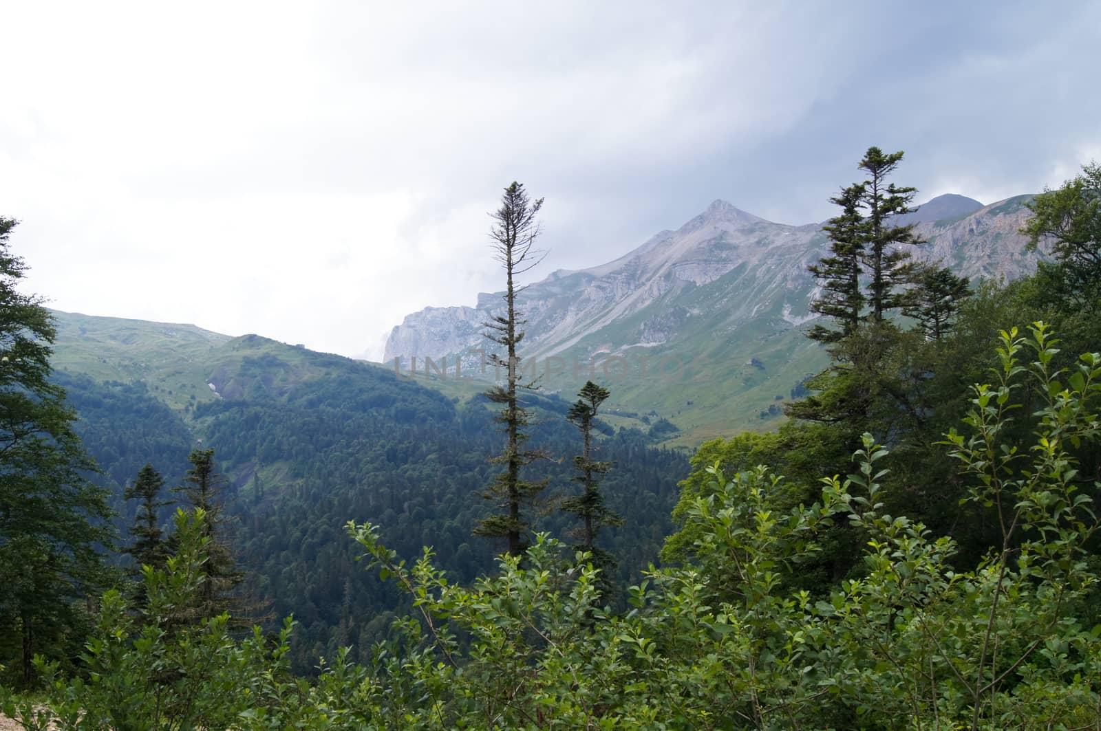 Mountains of the Caucasian natural reserve