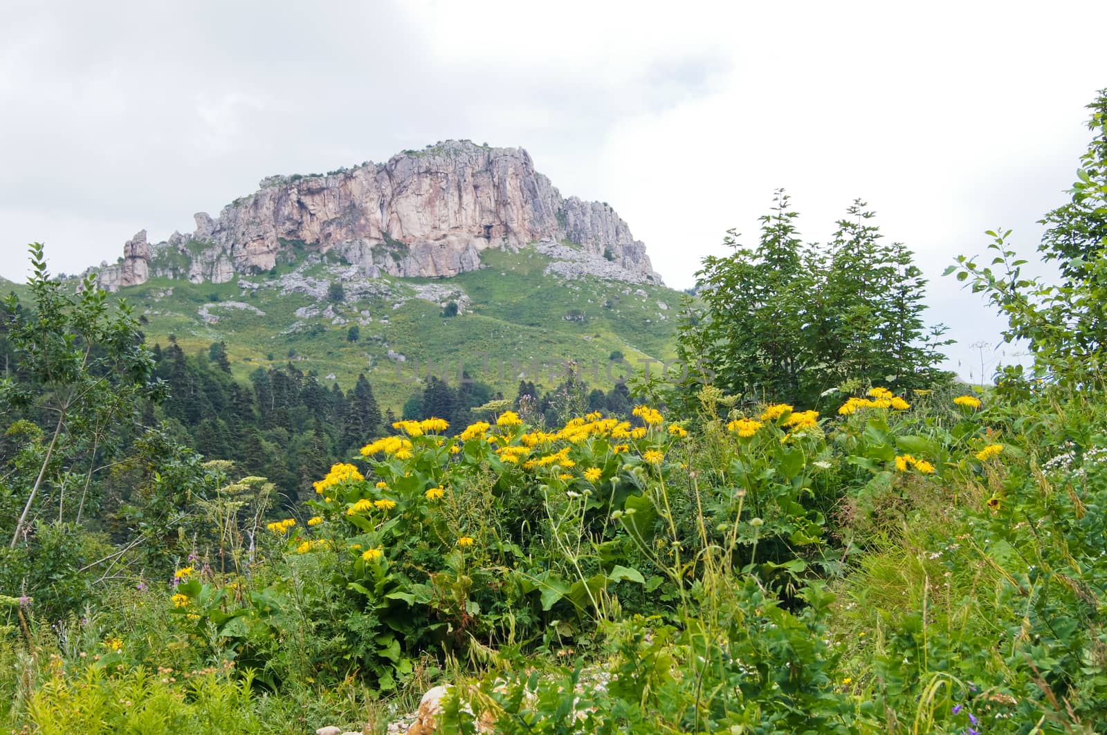 Mountains of the Caucasian natural reserve