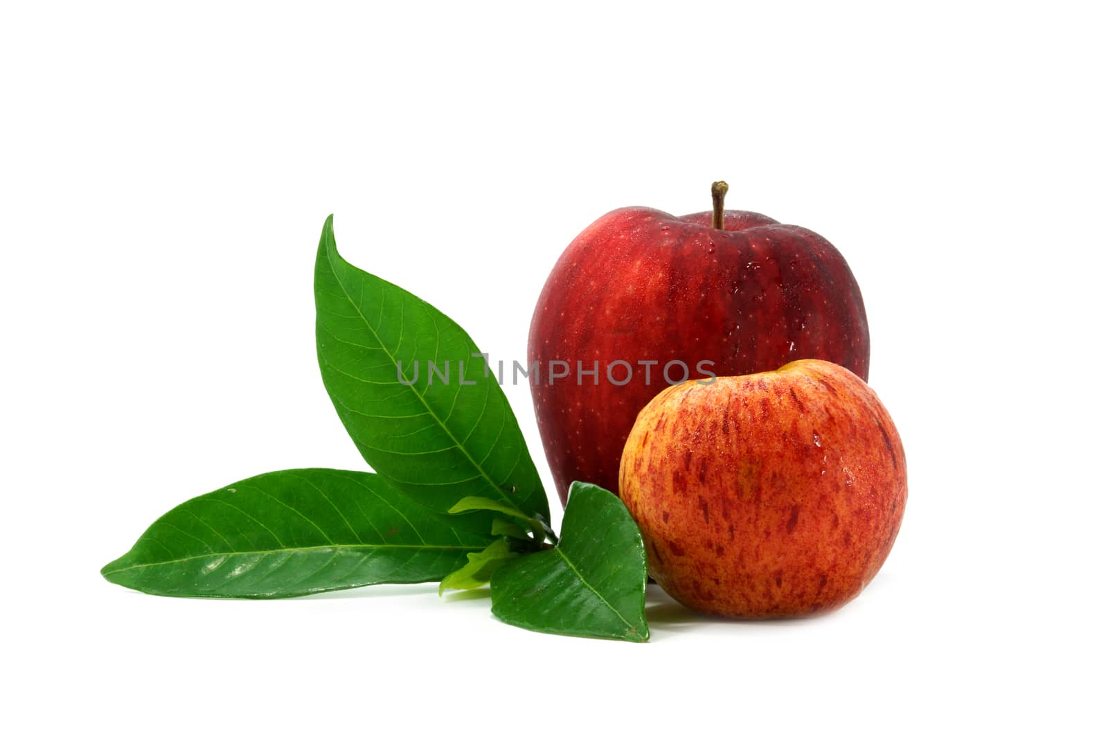 Red apple isolate on white background.