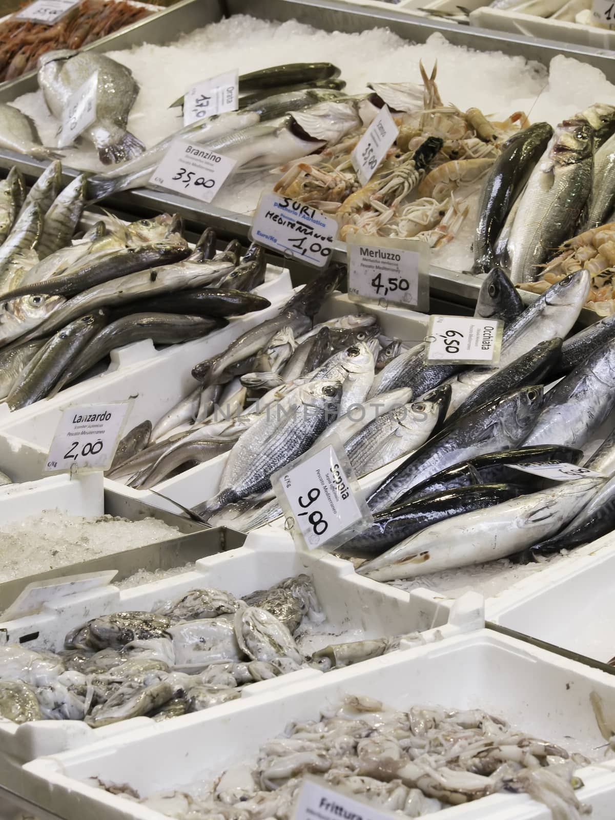 Fresh fish in a tipical italian corner market