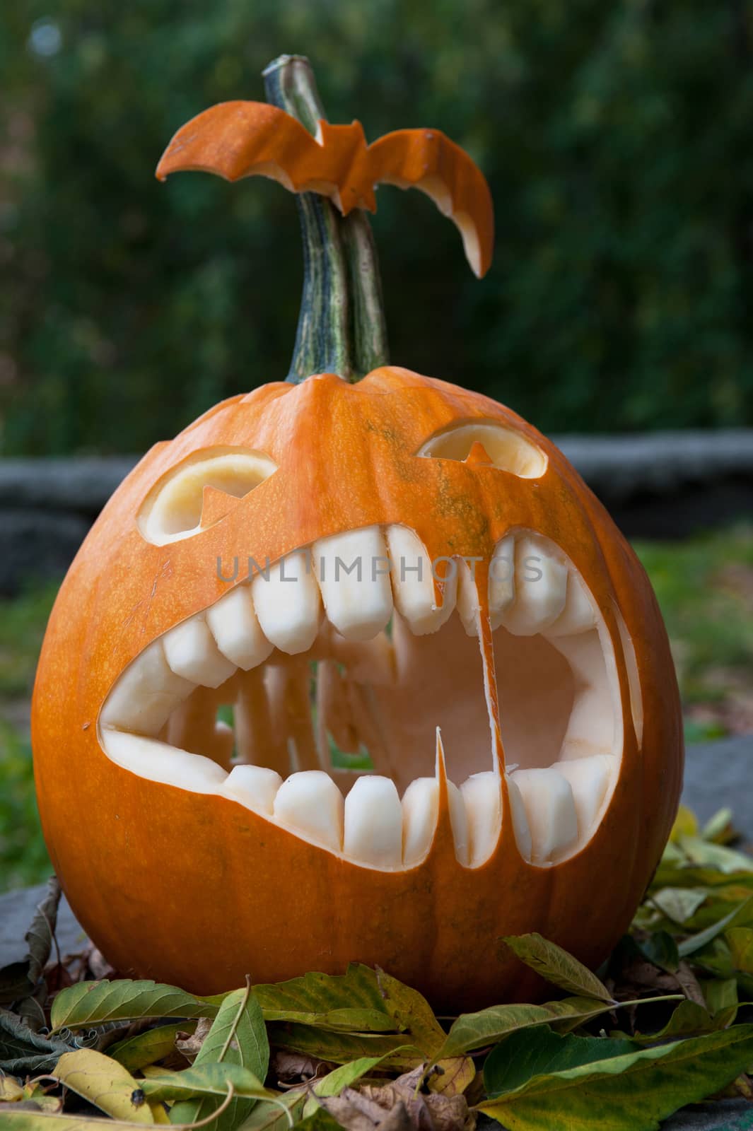 Halloween pumpkin on leaves background