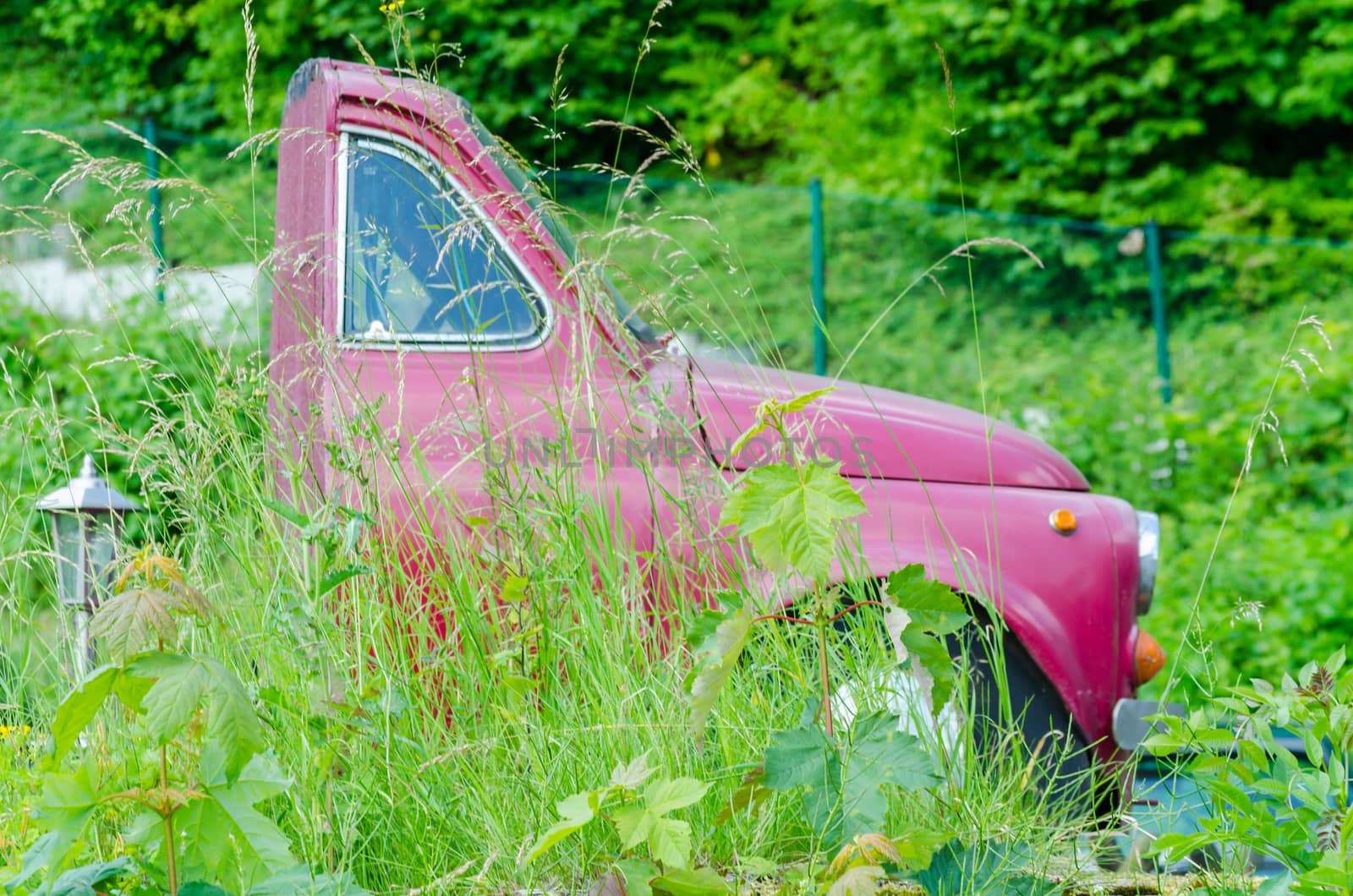 Half car behind the front seats separated by overgrown grass.