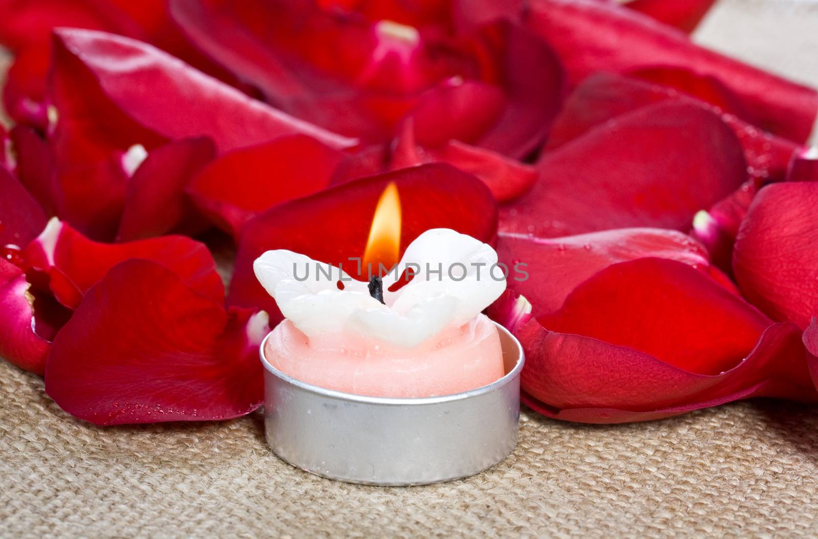 Spa concept. Lighted candleand red rose petals.