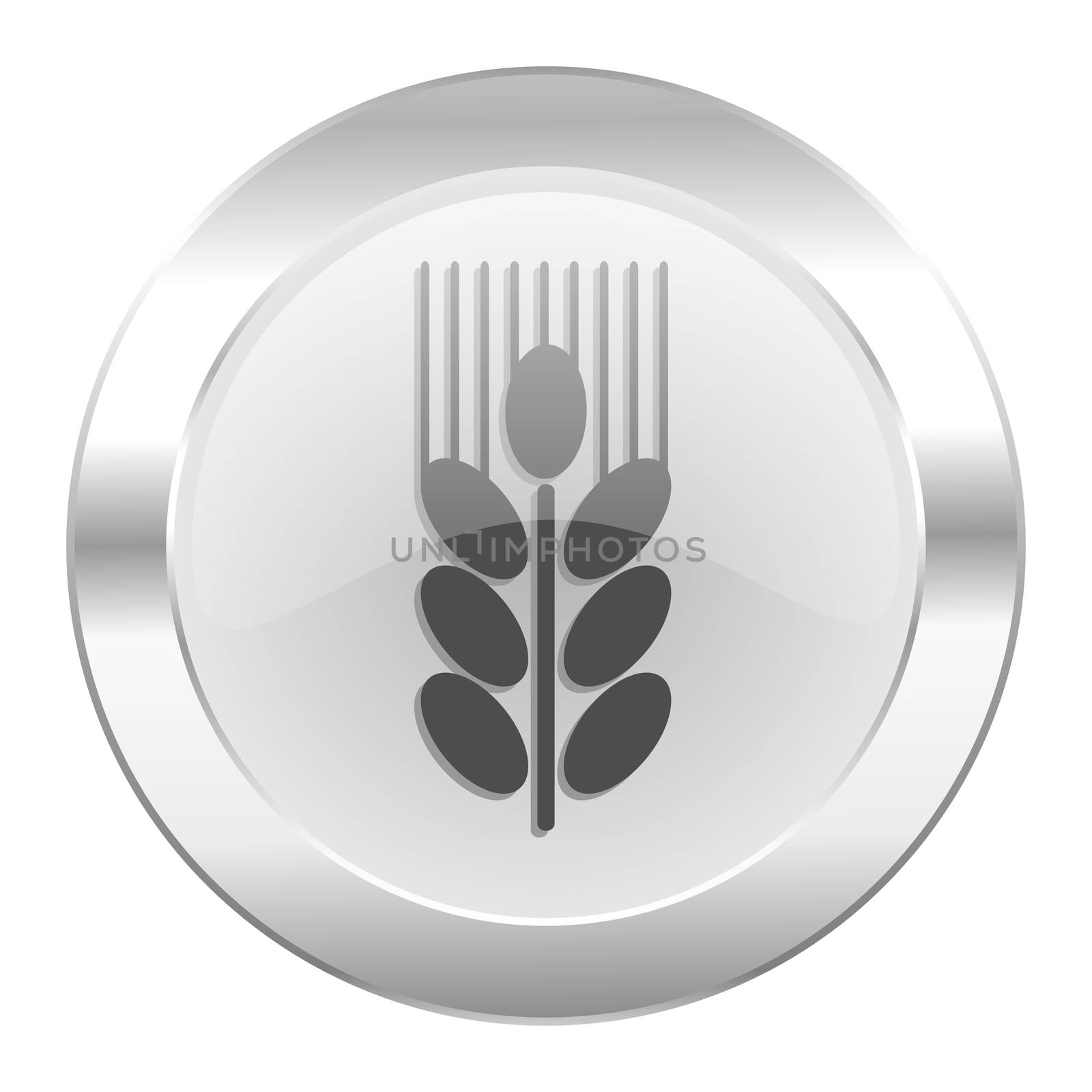 grain chrome web icon isolated