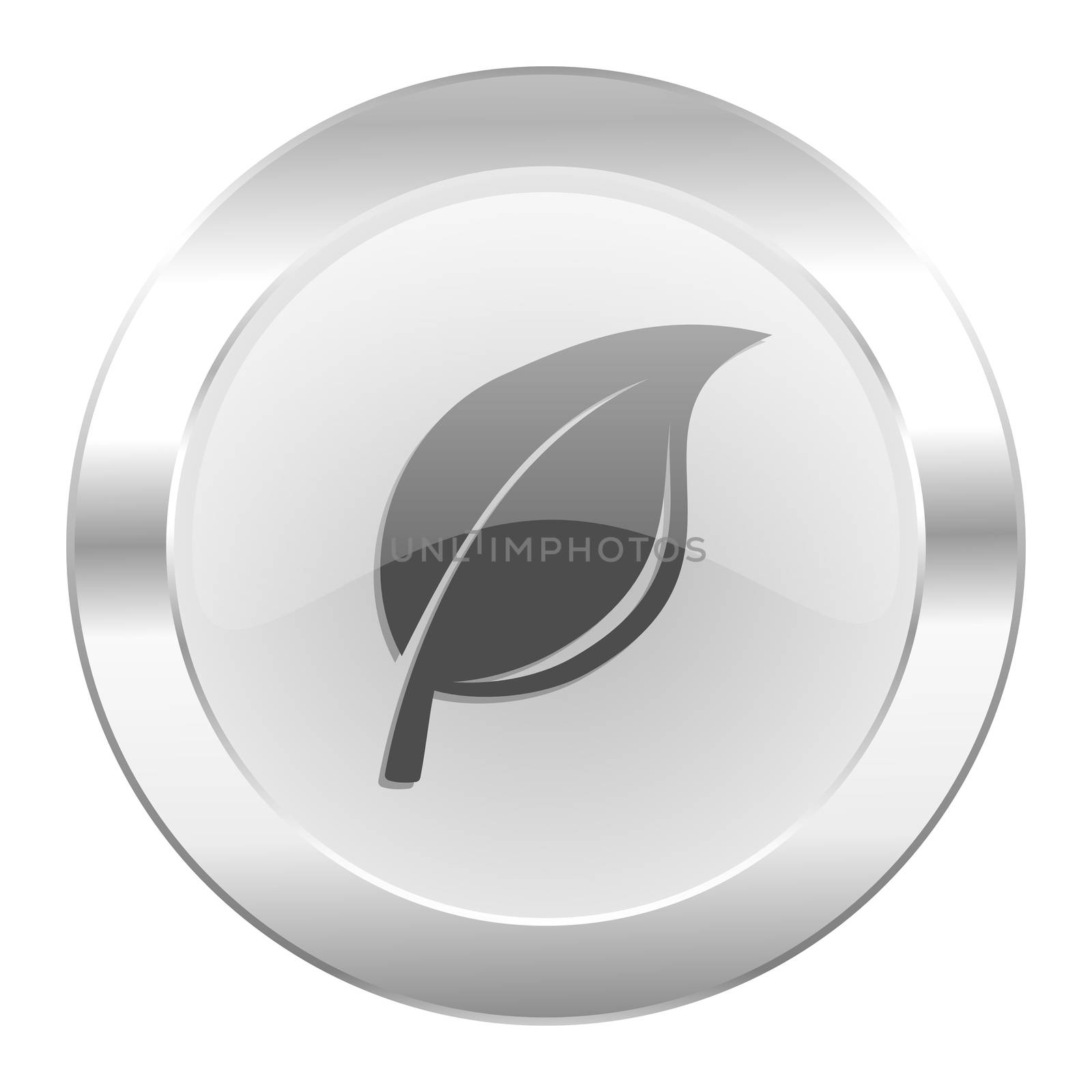nature chrome web icon isolated