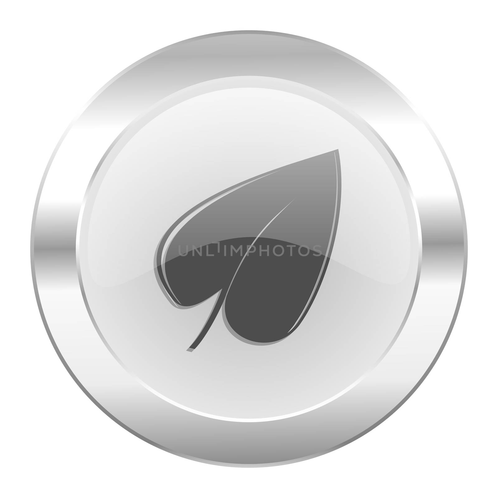 leaf chrome web icon isolated
