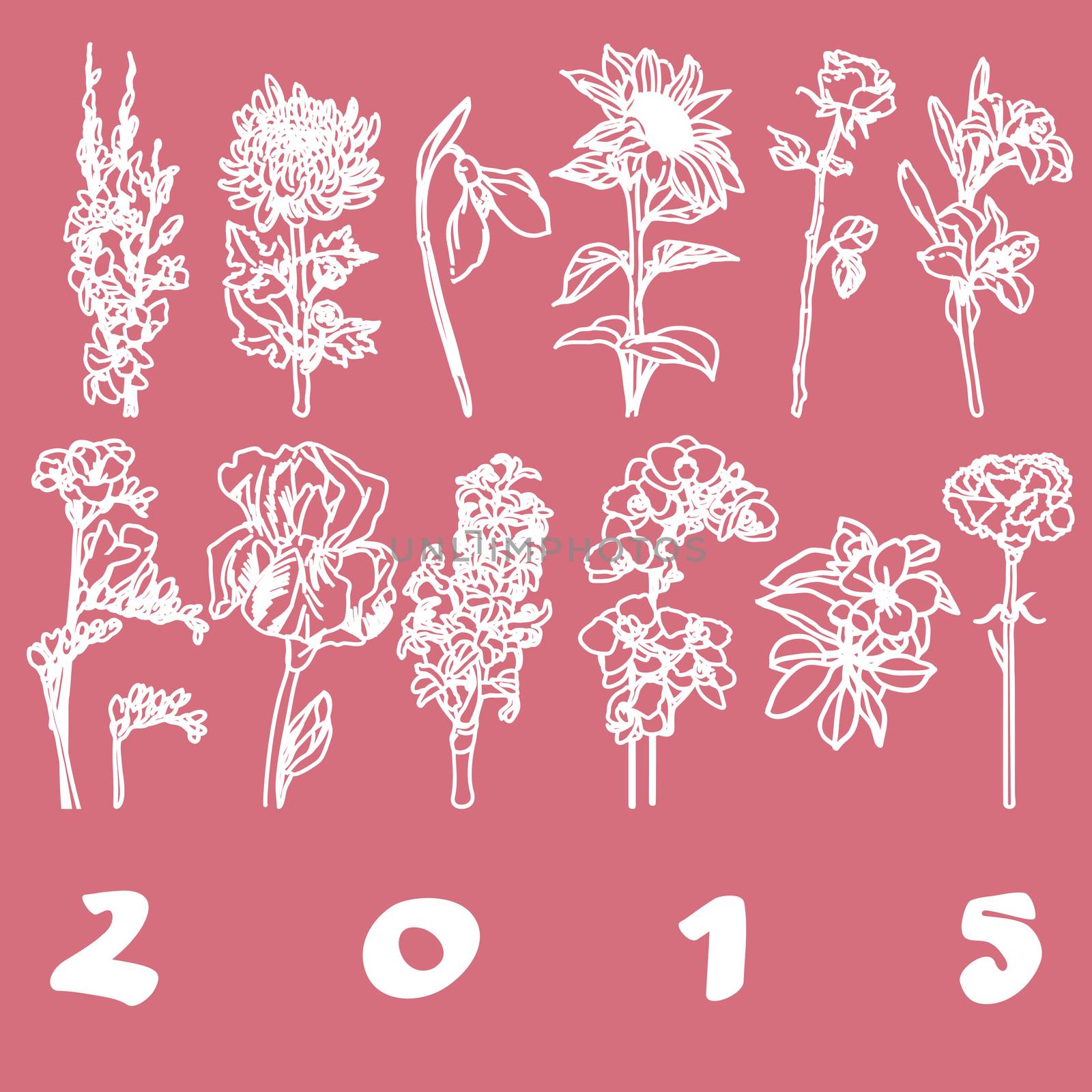 calendar cover 2015 flowers by catacos