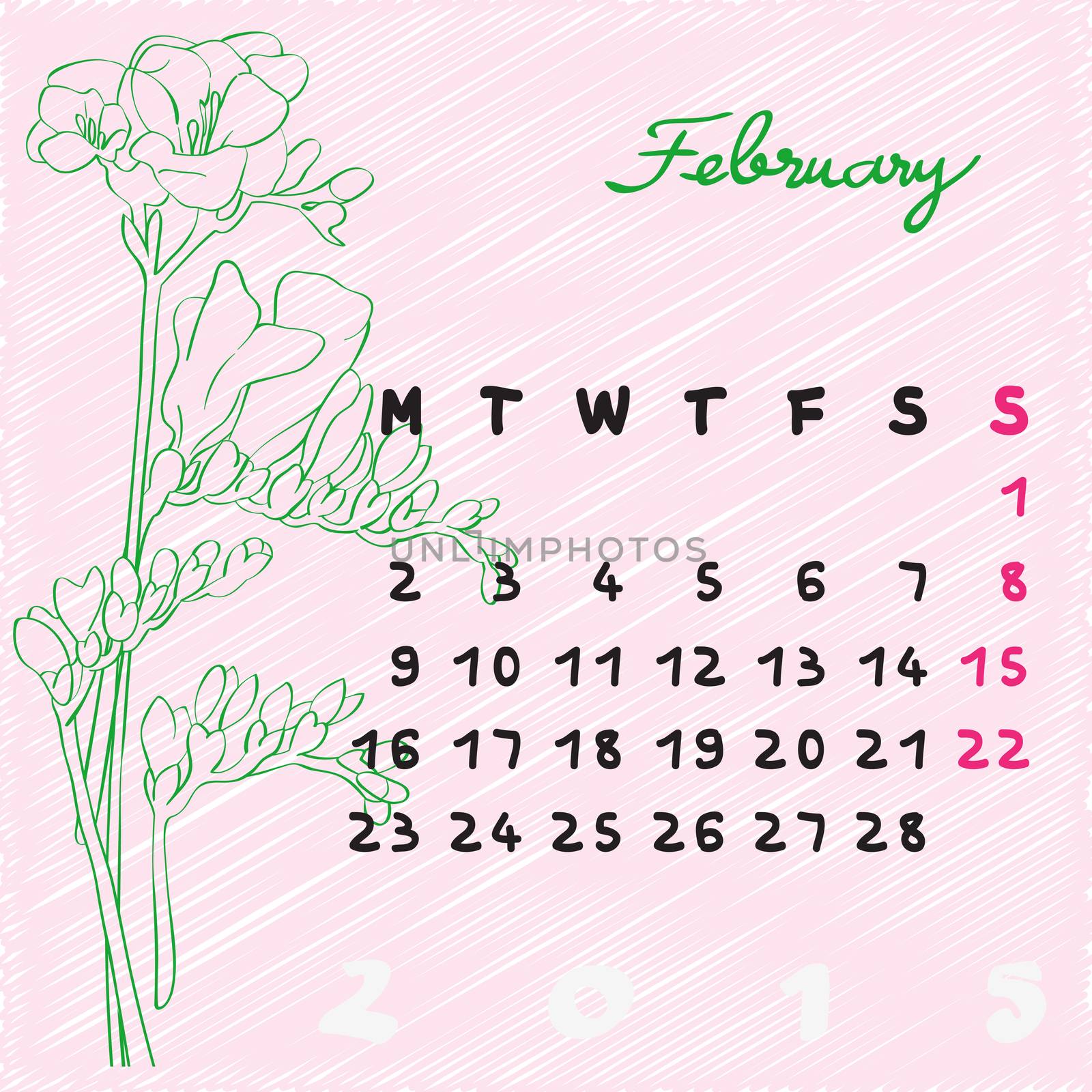 Calendar 2015, graphic illustration of February month calendar with original hand drawn text and freesia flowers