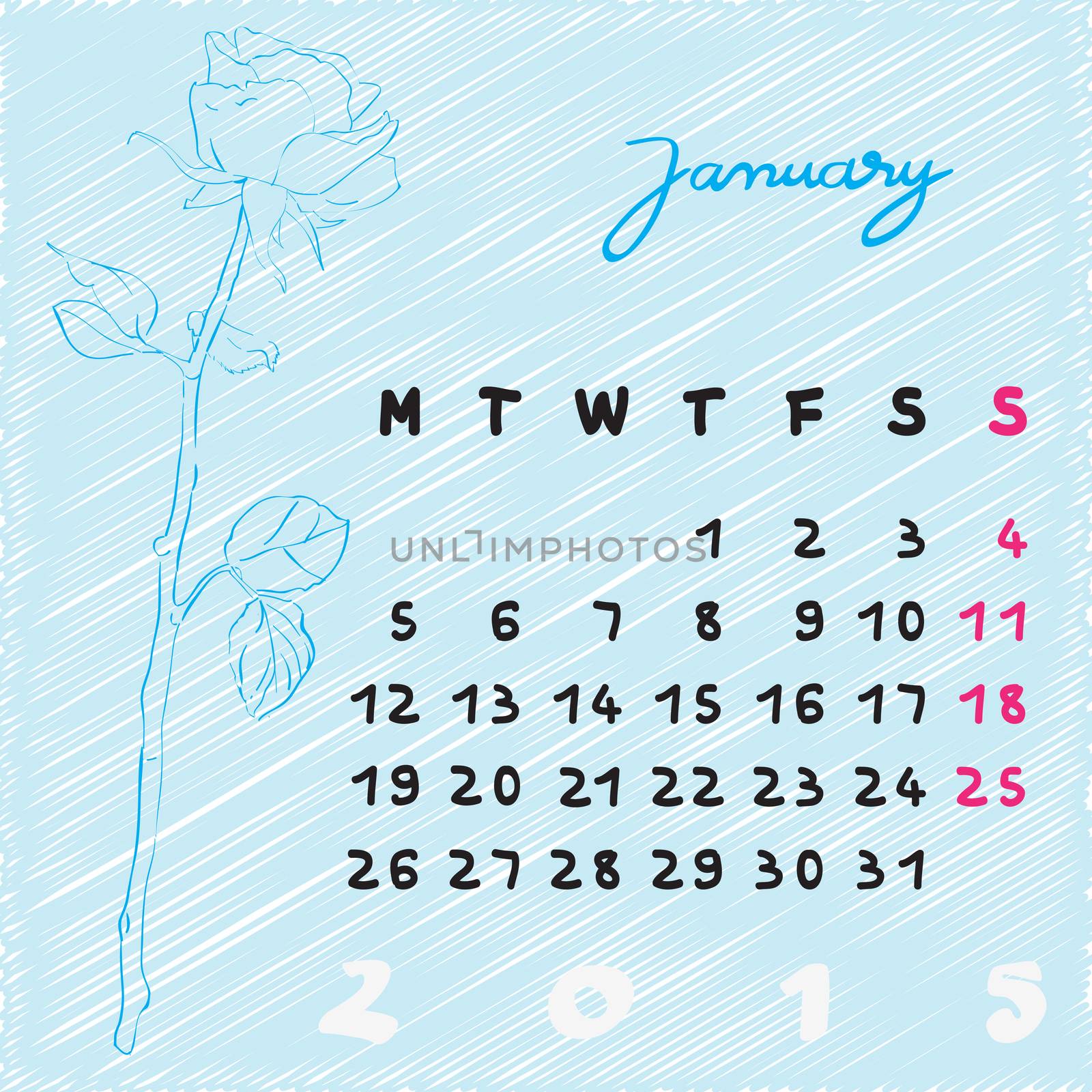 Calendar 2015, graphic illustration of January month calendar with original hand drawn text and rose flower sketch