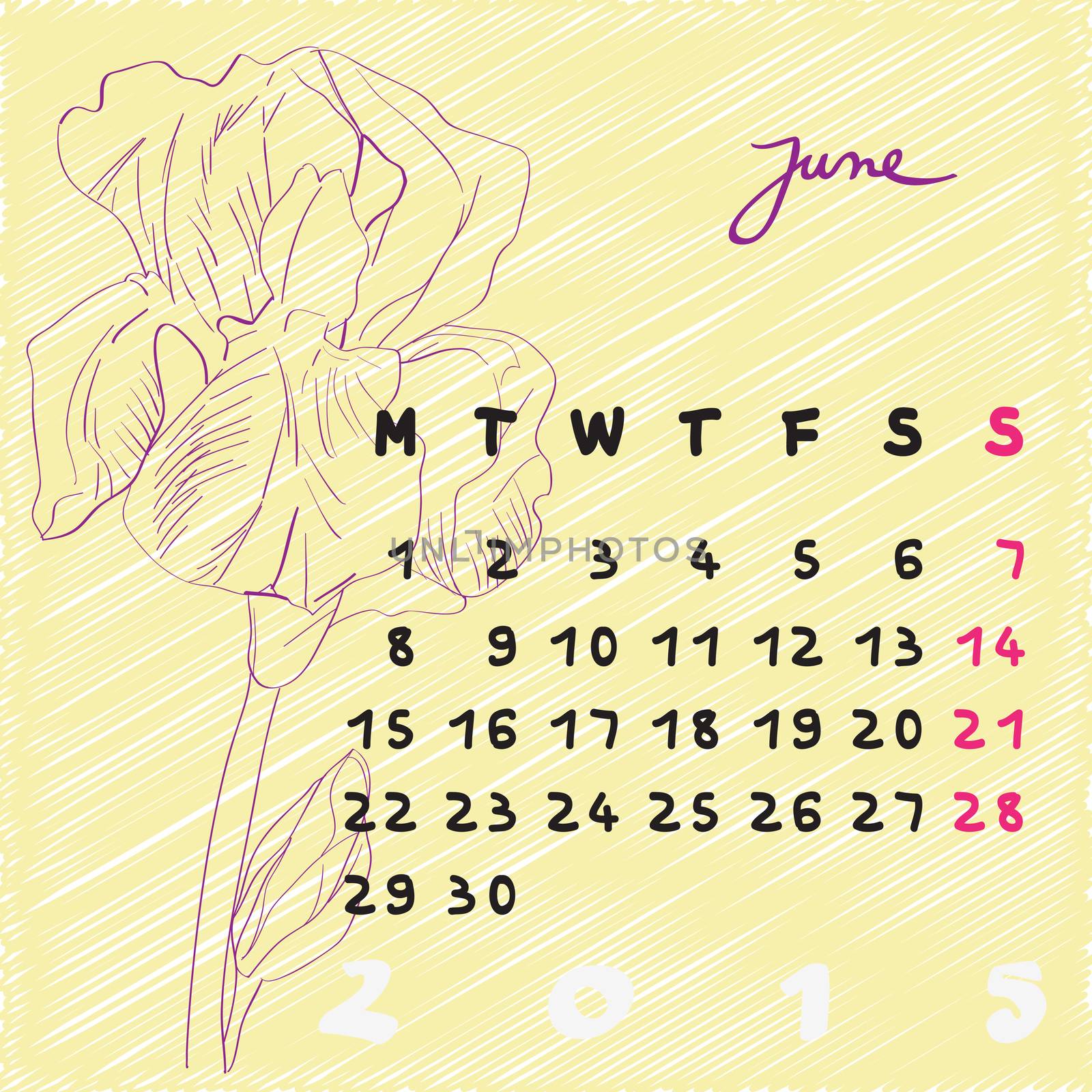 june 2015 flowers by catacos
