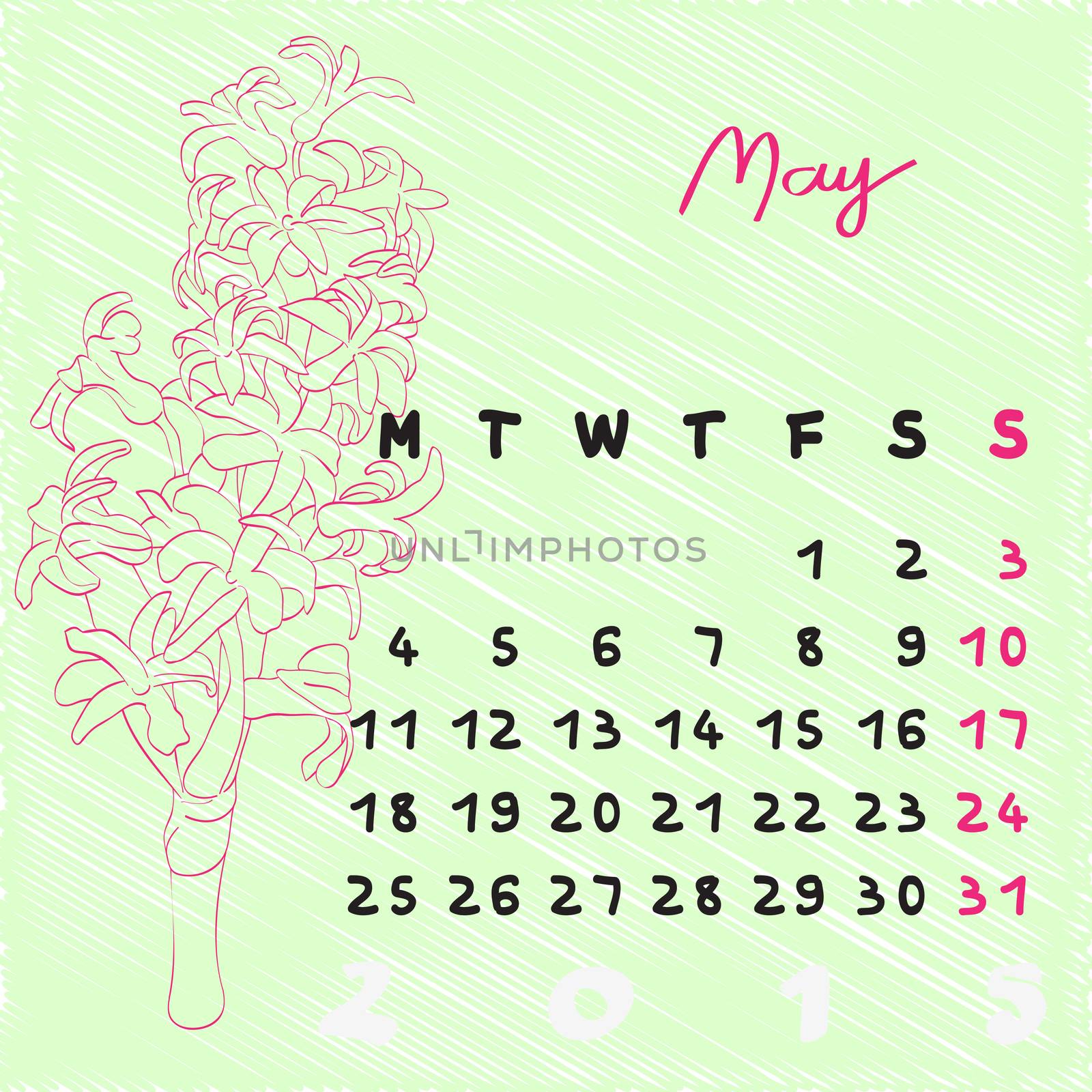 Calendar 2015, graphic illustration of May month calendar with original hand drawn text and hyacinth flower