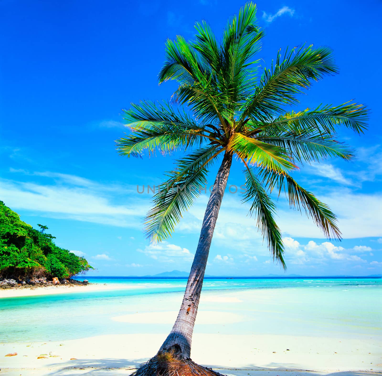 White sand beach with crystal clear sea, Maya island, Krabi, Thailand