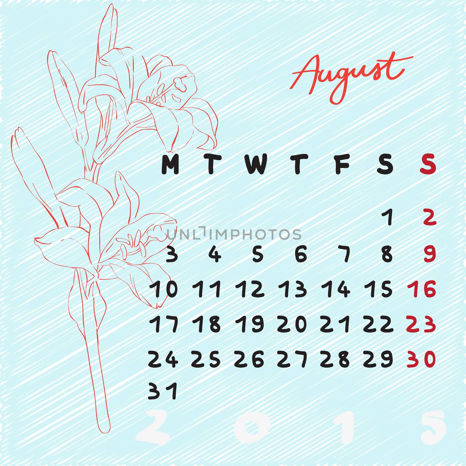 Calendar 2015, graphic illustration of August month calendar with original hand drawn text and lily flower sketch