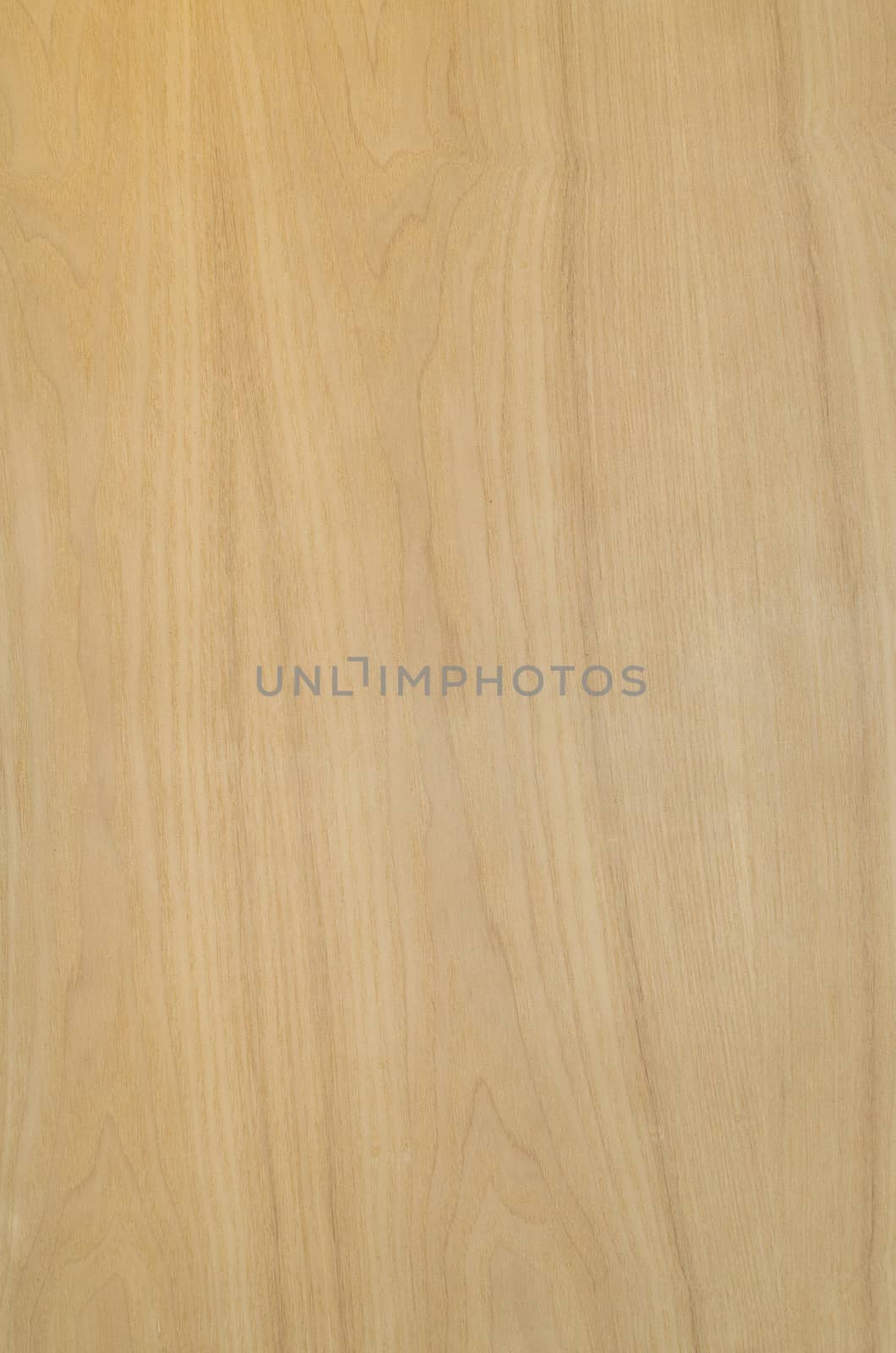 Texture of wood background closeup by nopparats