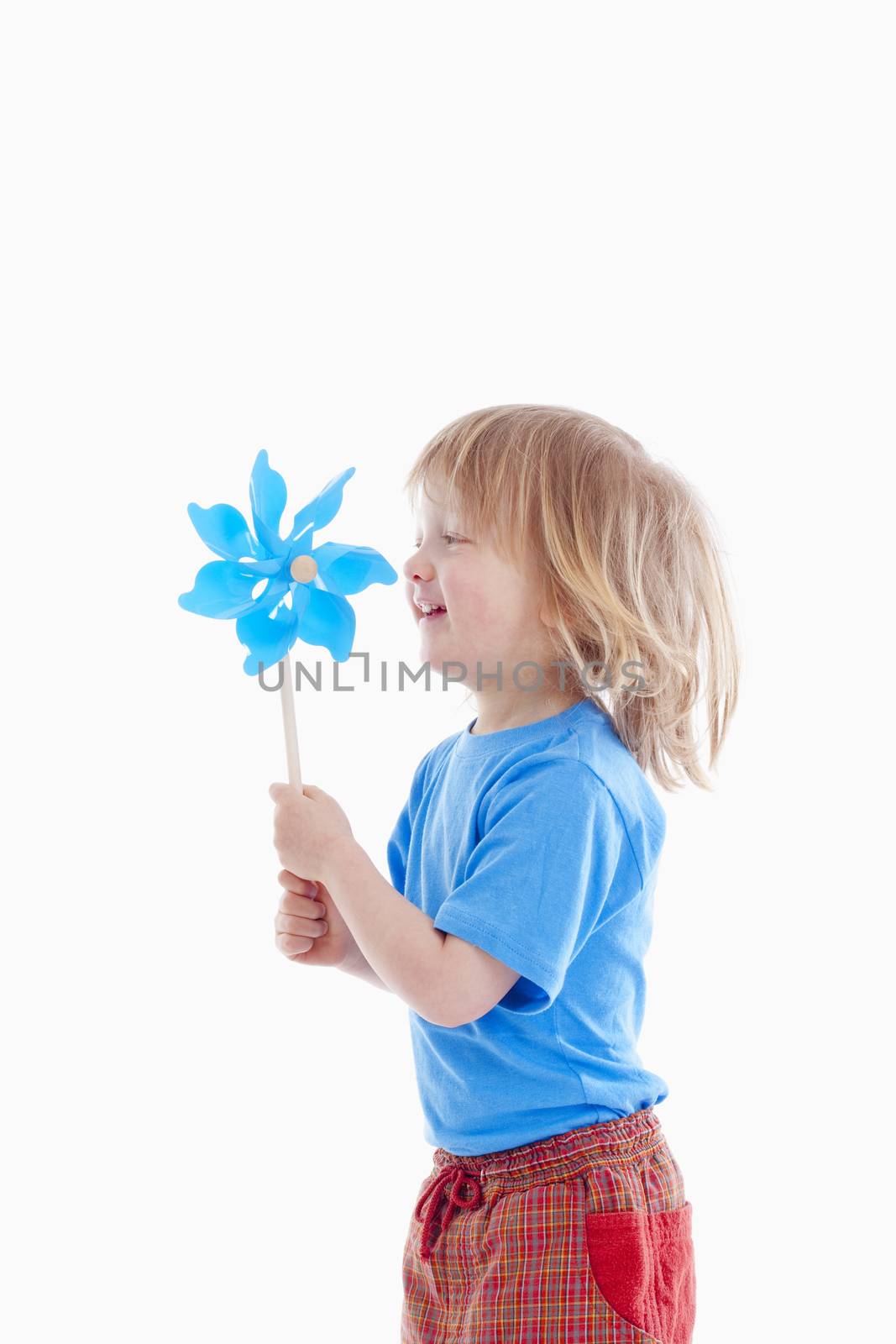 studio shot of a boy playing with pinwheel - isolated on white