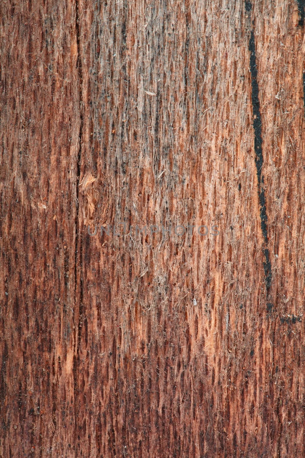 Wood texture by Gudella