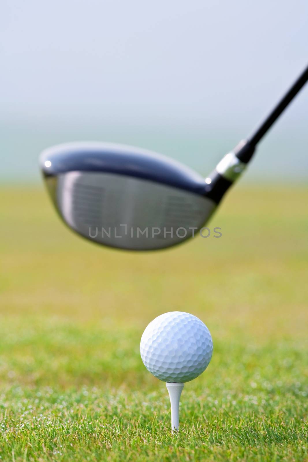 closeup of a golf ball and club on green grass - club out of focus