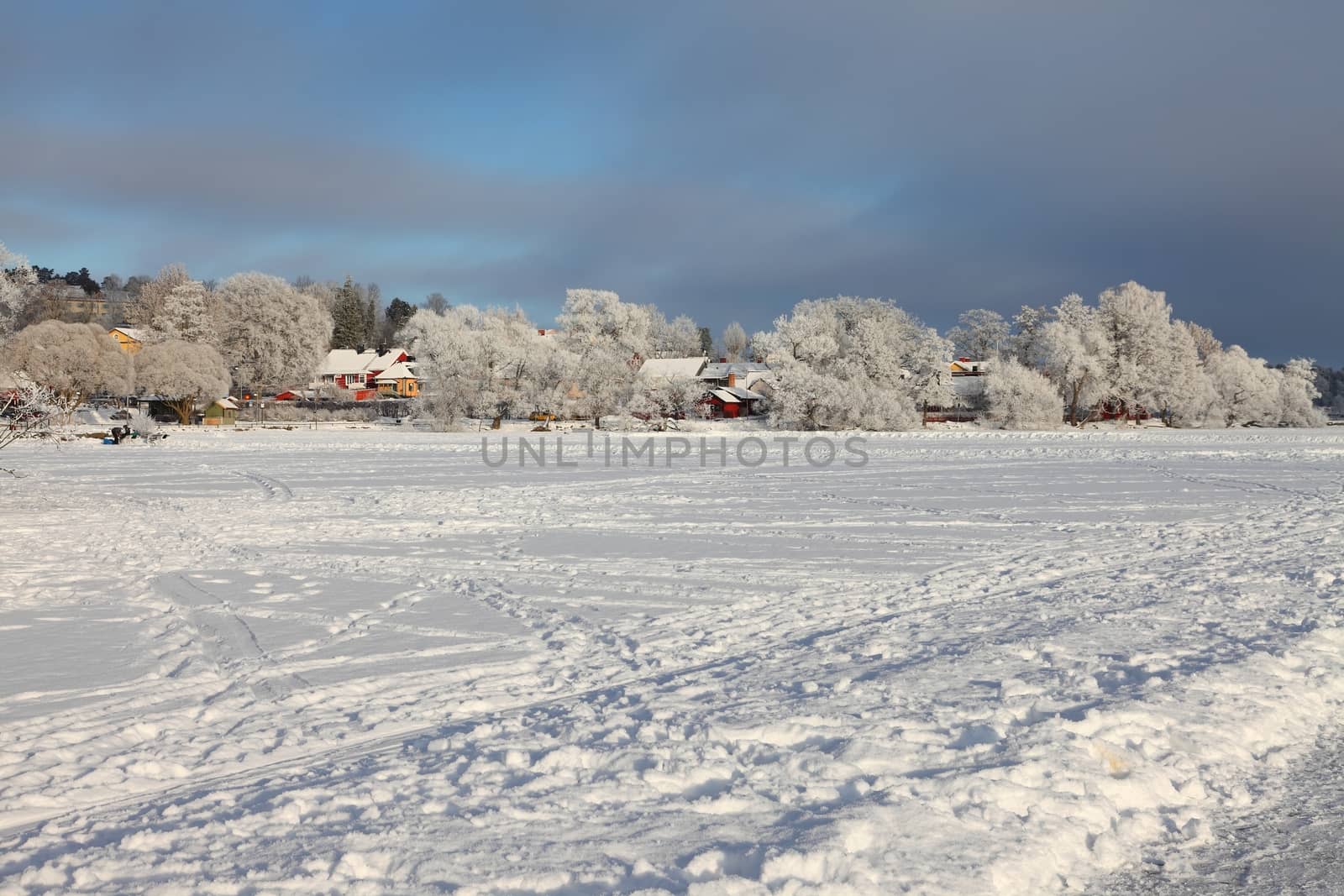 Winter landscape with frozen lake