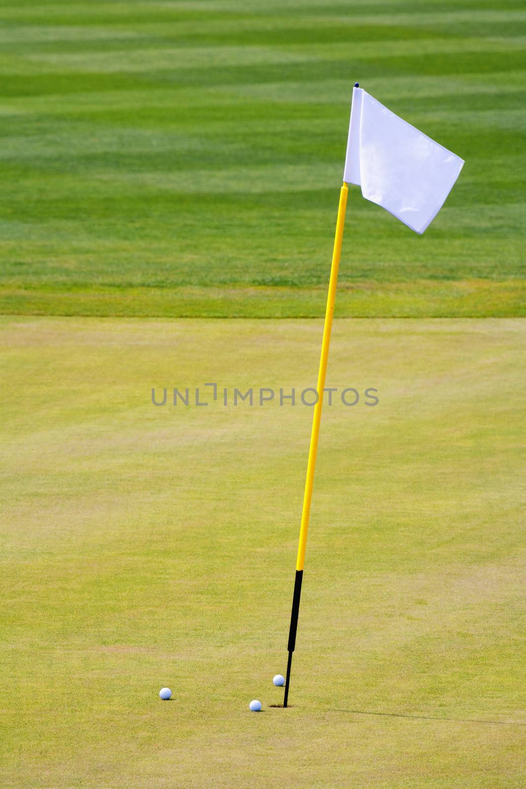 golf hole with a flag by courtyardpix