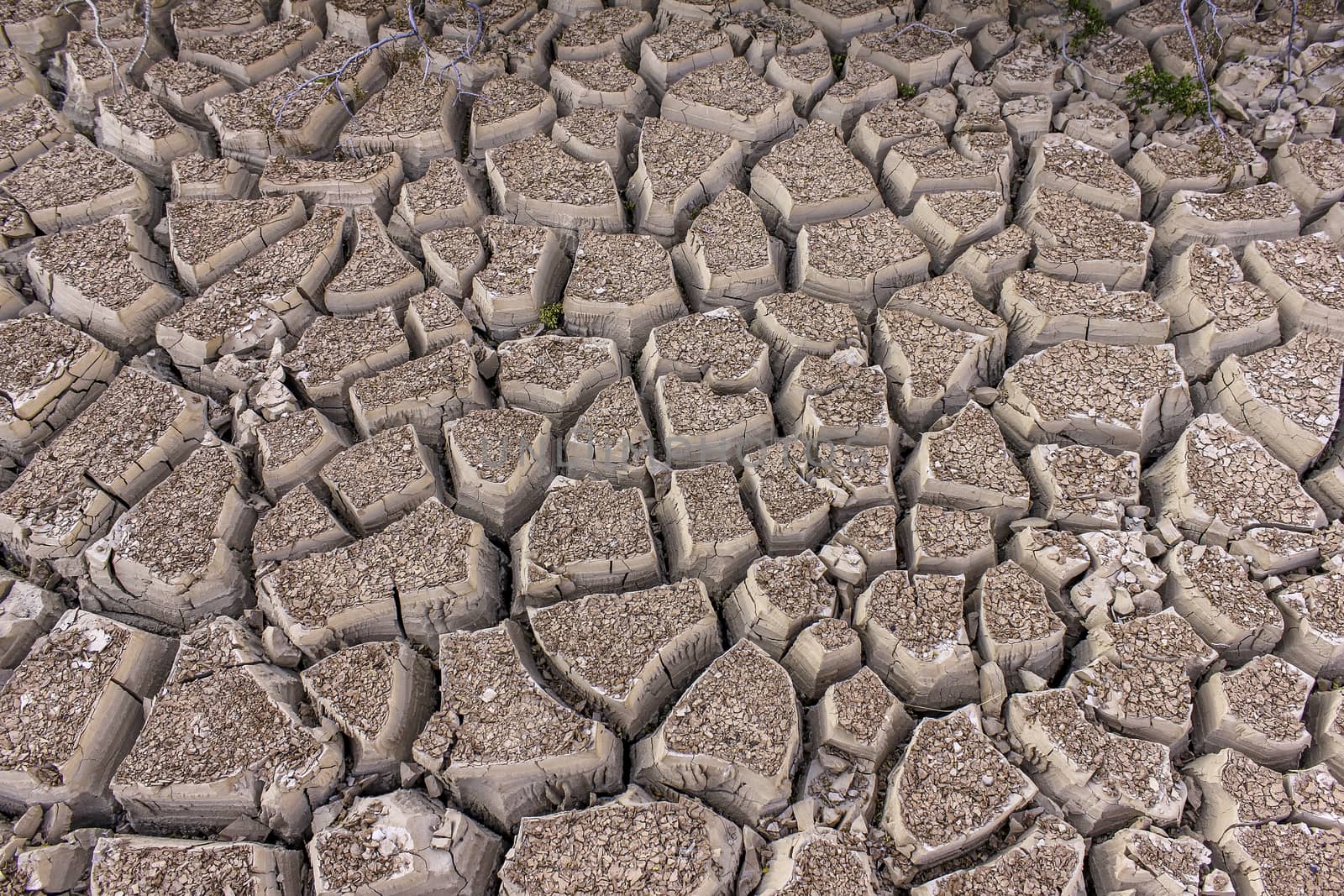 An image of severely dried and cracked earth that could be a dried river or lake bed, or in the desert