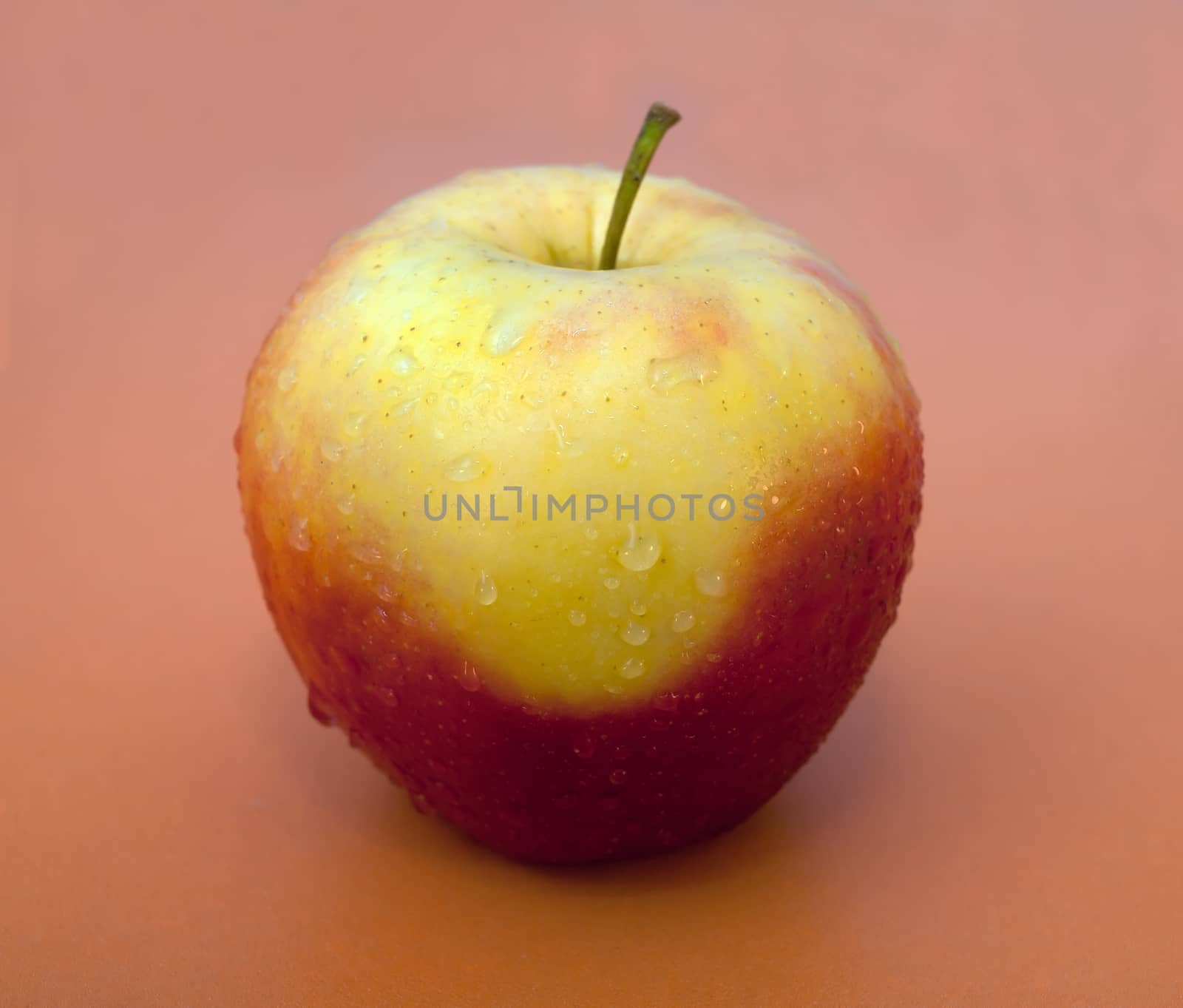 Red-yellow apple close up on an orange background with water drops on it