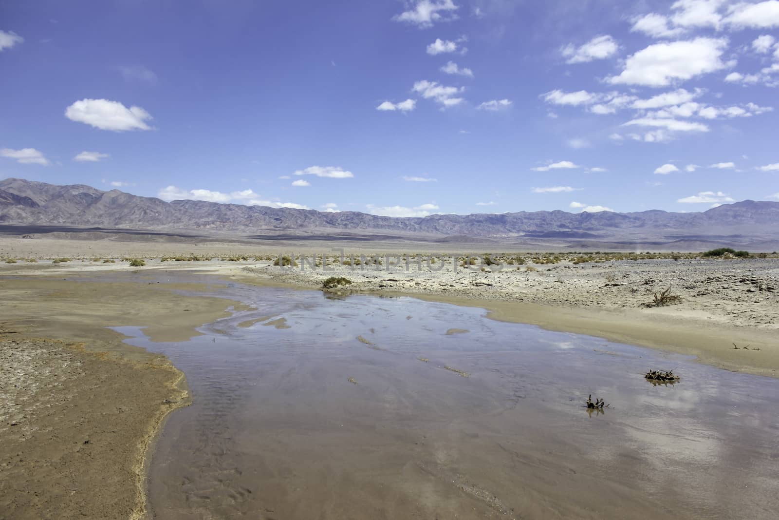 An image of a river in the desert with mountains in the distance