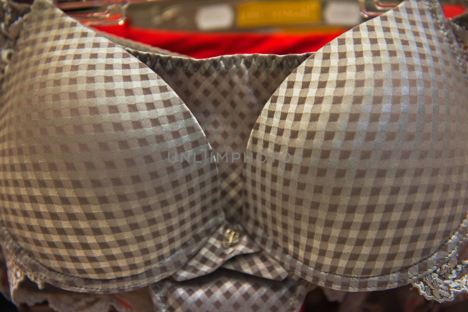 Patterned bra close up in the shop
