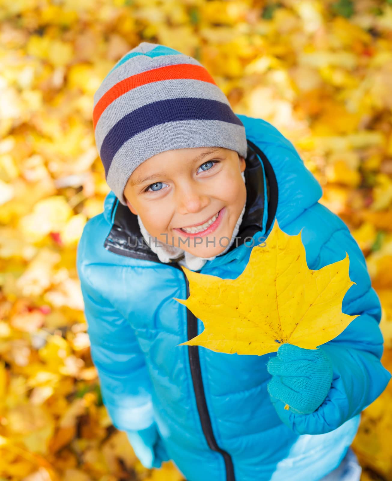 Portrait of Adorable cute girl with autumn leaves in the beauty park