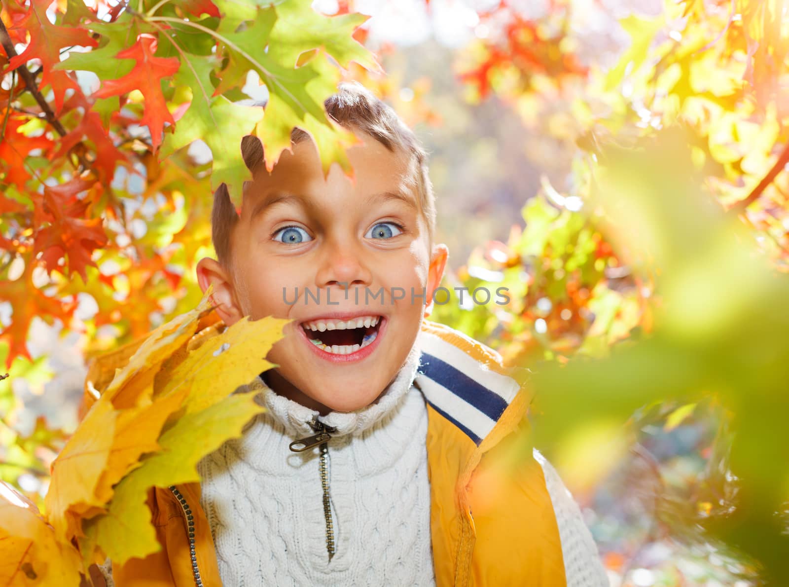 Portrait of Adorable cute girl with autumn leaves in the beauty park