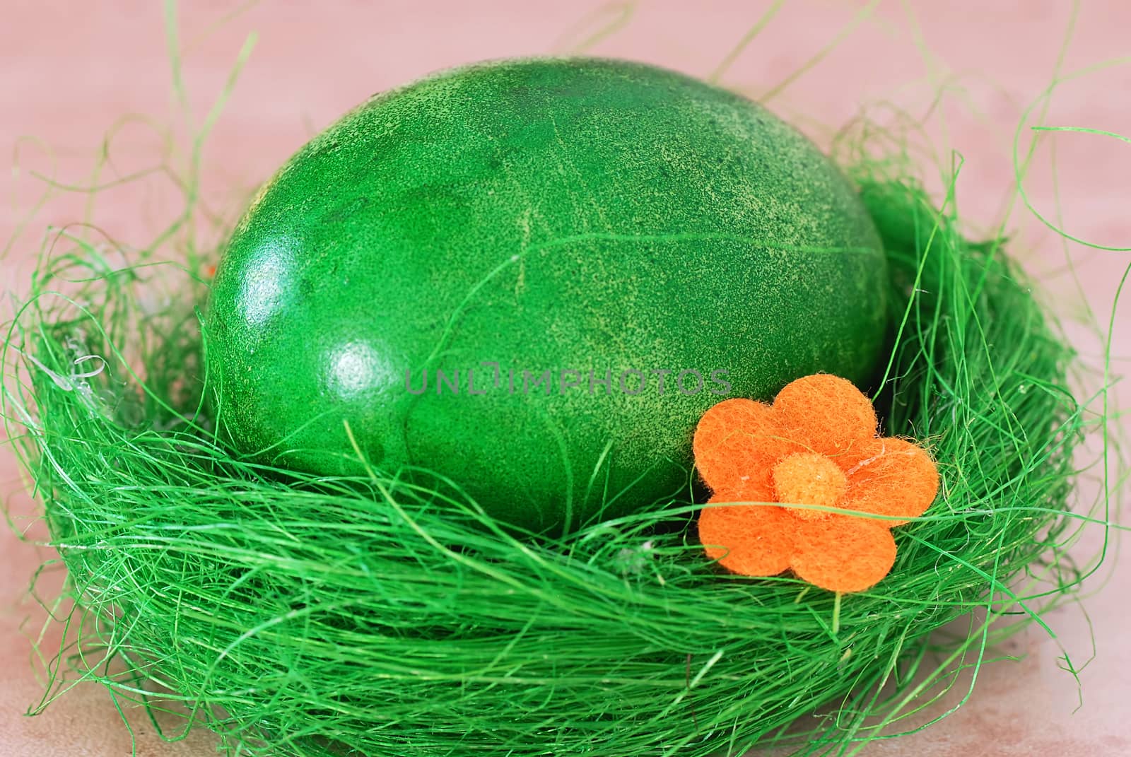 one colored green Easter egg in decorative nest
