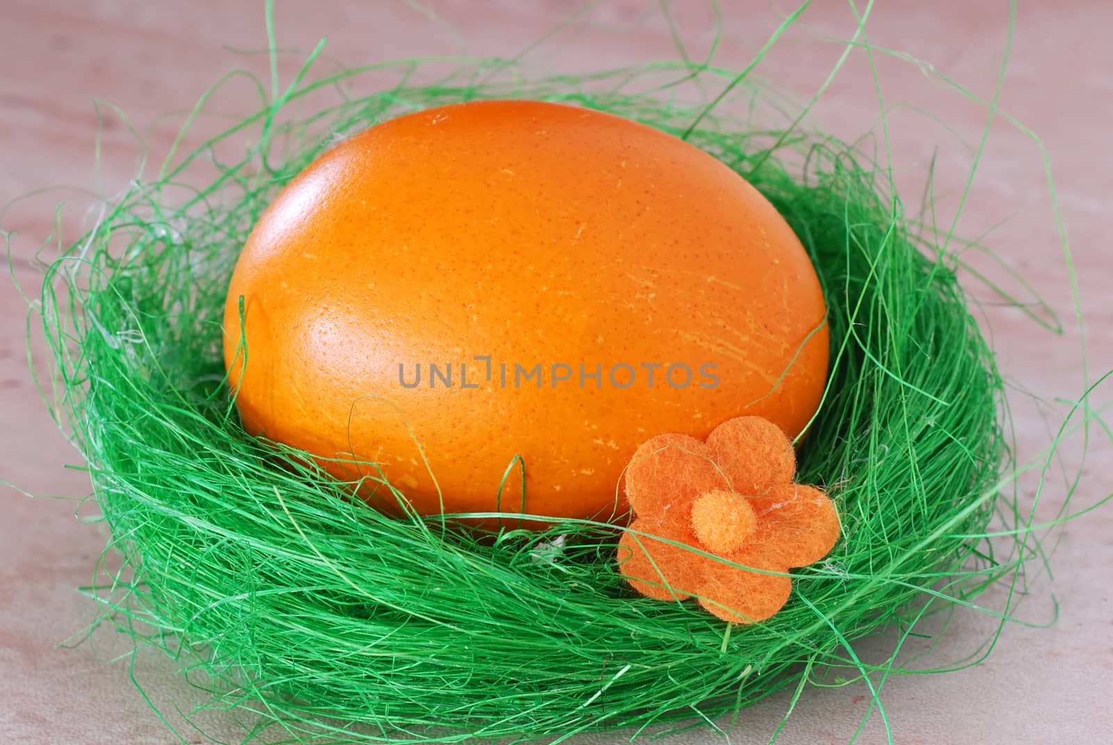 one colored orange Easter egg in green decorative nest