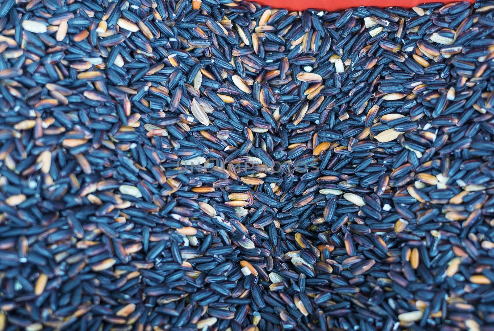 Colourful Spices on a Market Stand.