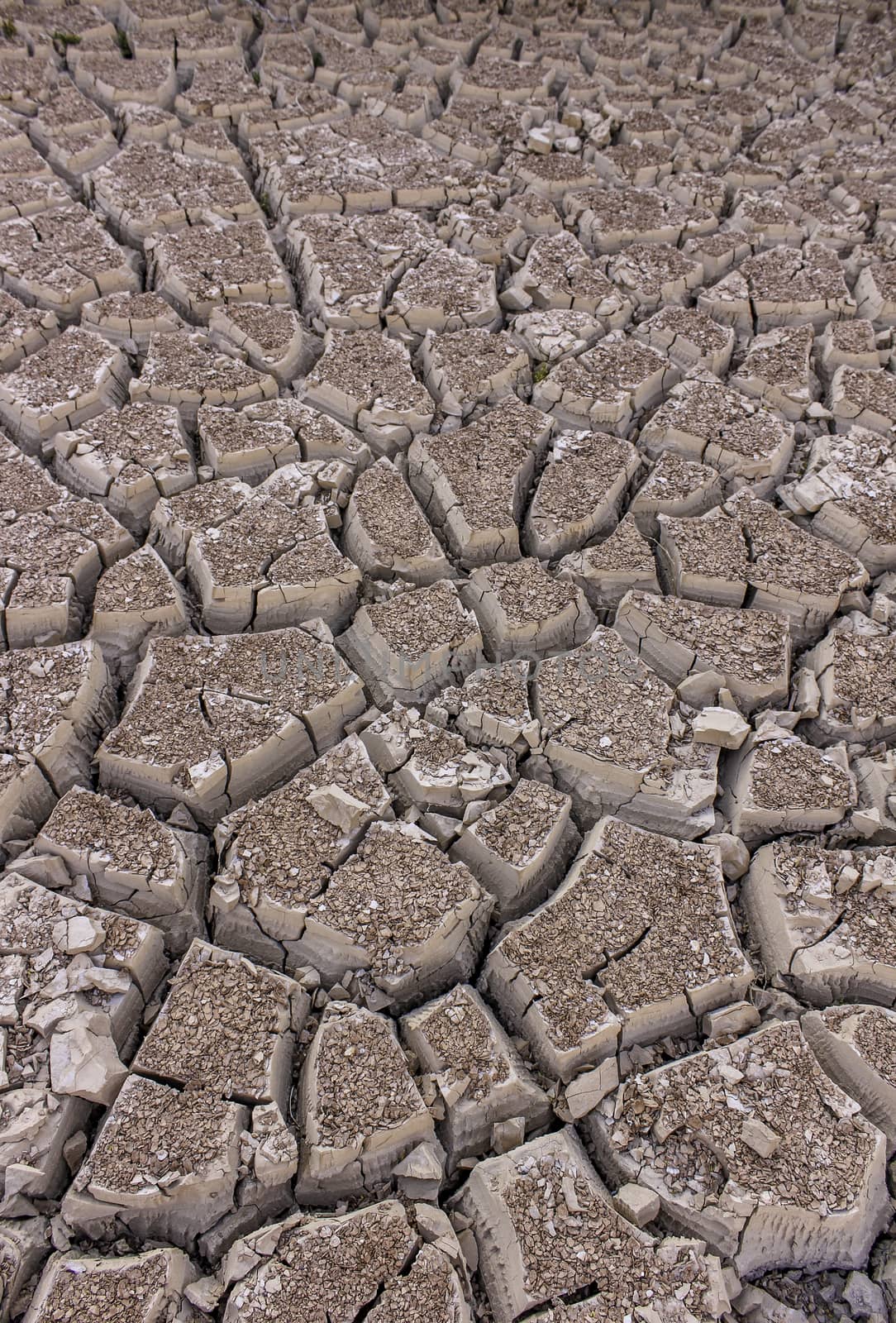 An image of severely dried and cracked earth that could be a dried river or lake bed, or in the desert