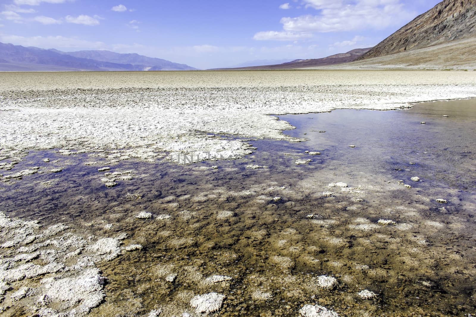 A pool of water in the salt flats at Badwater Basin in Death Valley