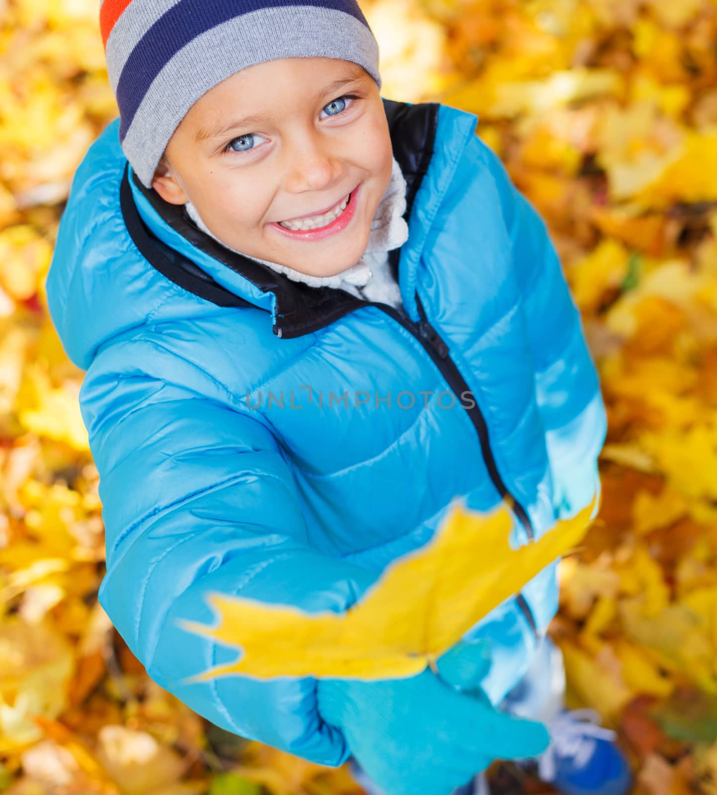 Portrait of Adorable cute girl with autumn leaves in the beauty park