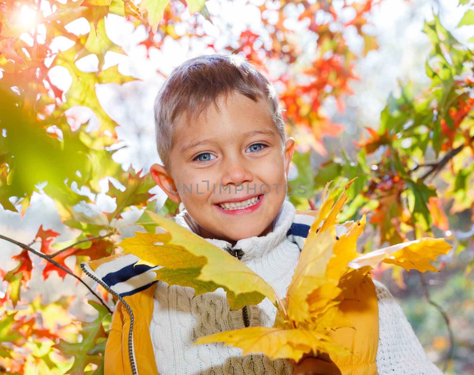 Portrait of Adorable cute girl with autumn leaves in the beauty park