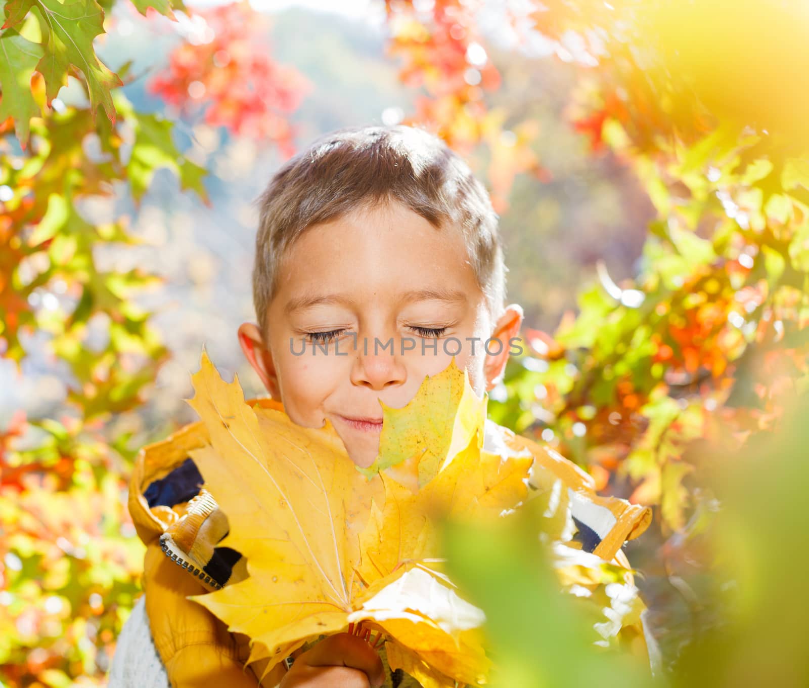 Portrait of Adorable cute girl with autumn leaves in the beauty park