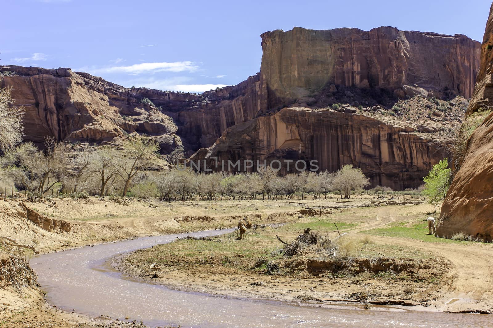A view of a canyon river with a cowboy tending to his horses and steep red sandstone cliffs in the distance