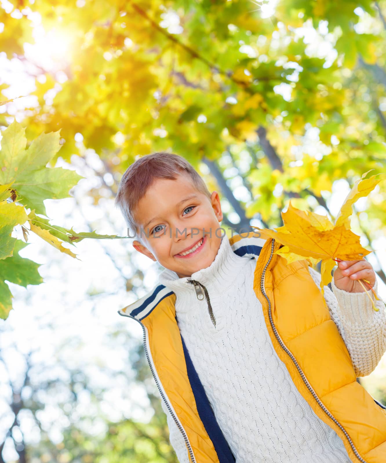 Portrait of Adorable cute girl with autumn leaves in the beauty park