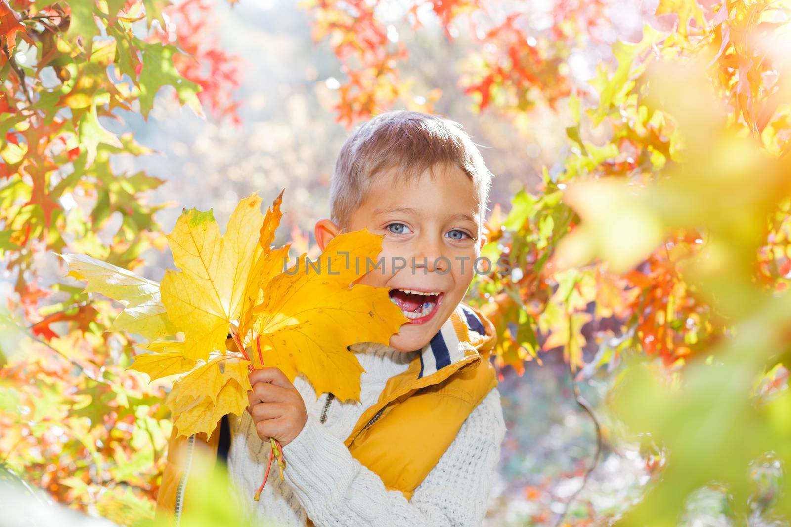 Portrait of Adorable cute girl with autumn leaves in the beauty park