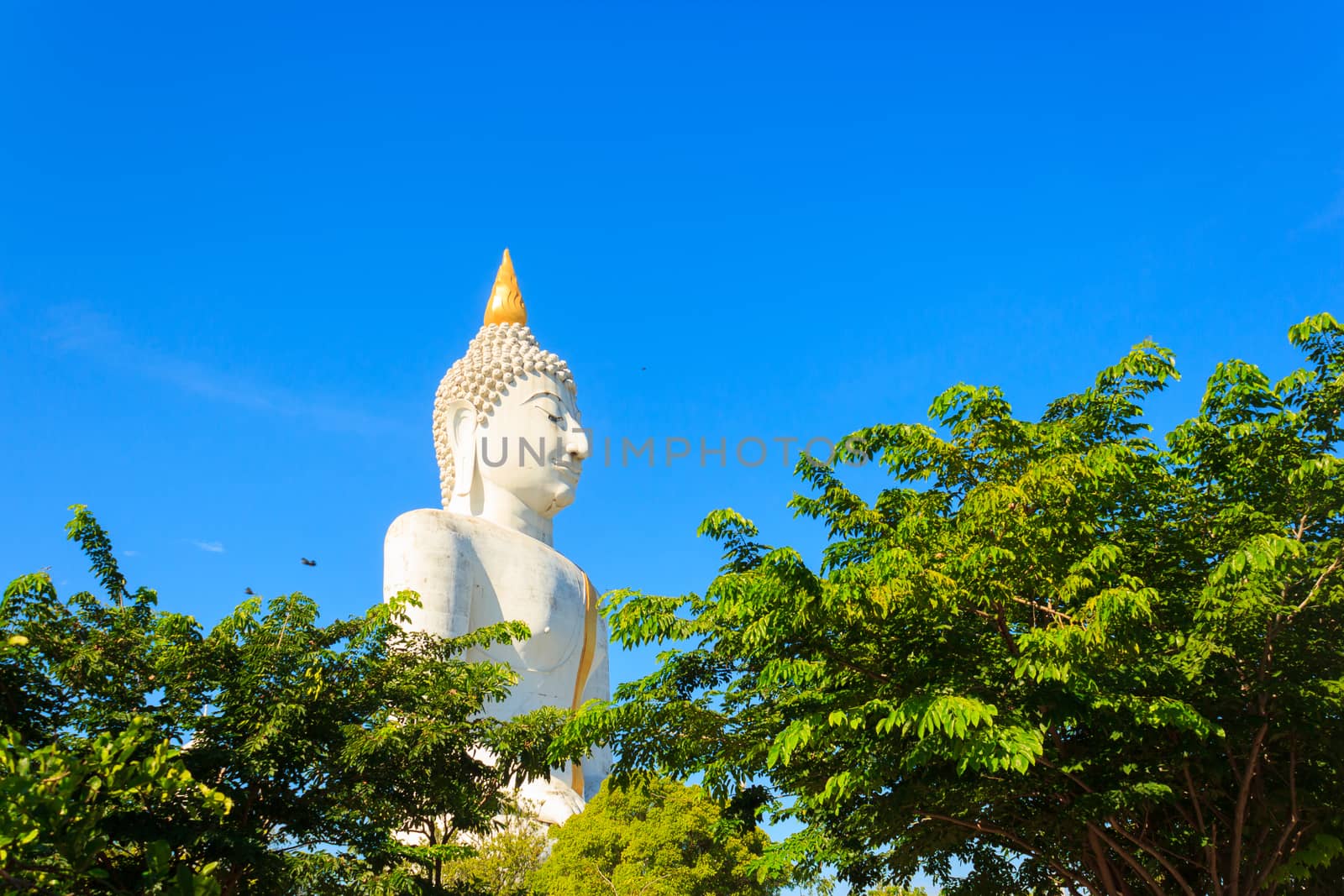 Big buddha statue, suphanburi province, Thailand
