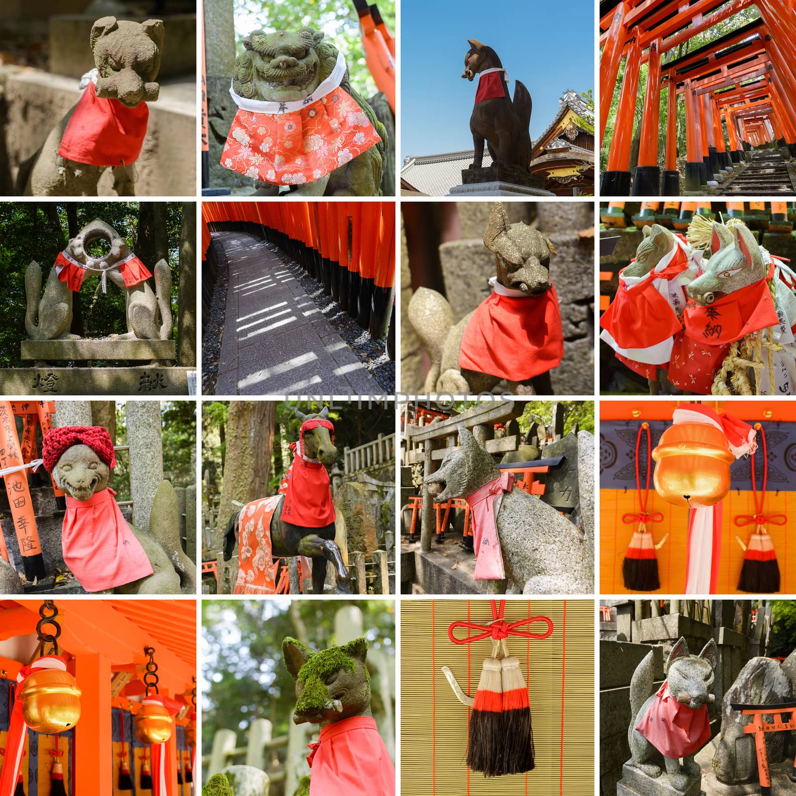 Collection of Fushimi Inari Taisha Shrine scenics by elwynn