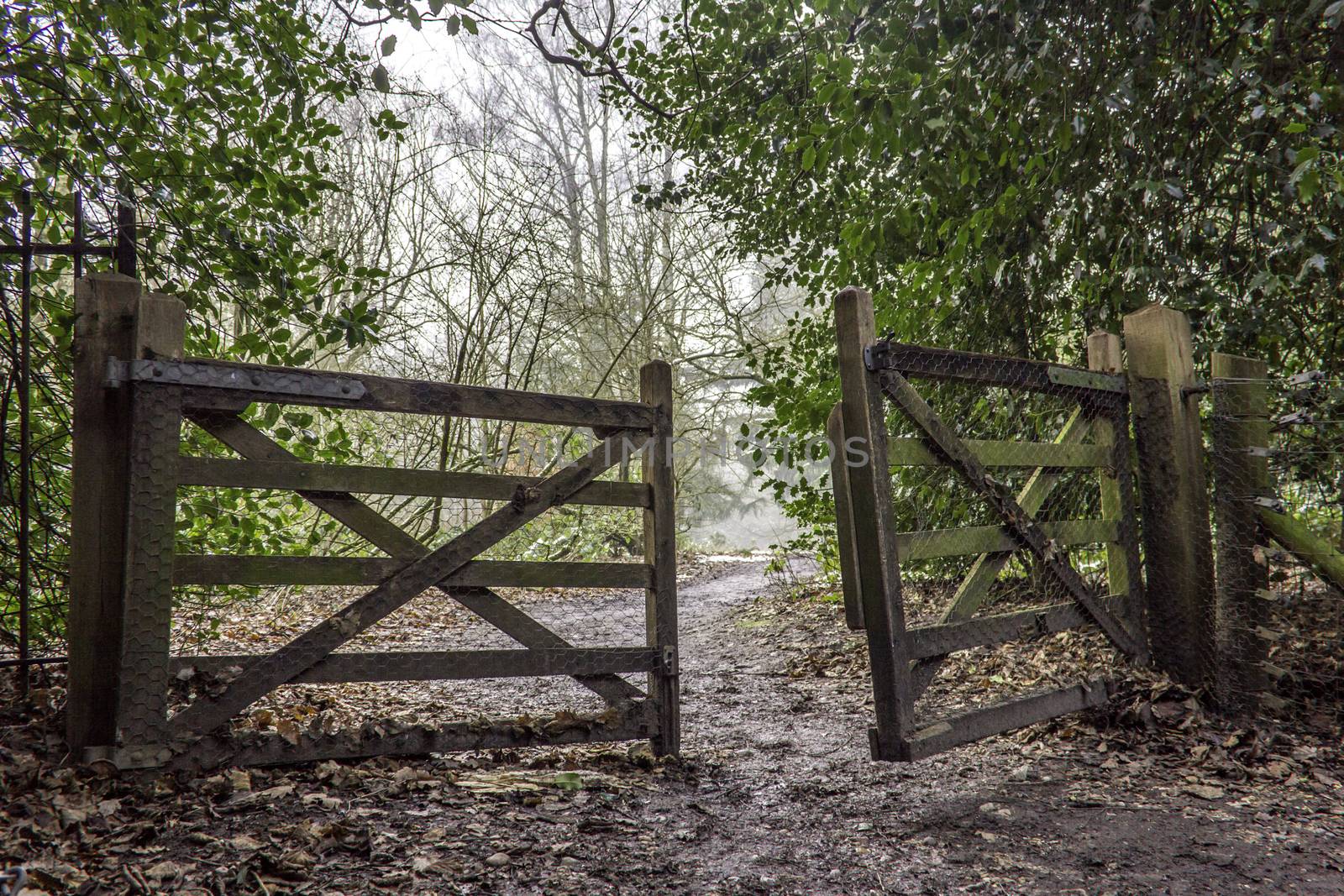 An open wooden gate in a forest or wood with a path on the other side leading into the distance towards a misty opening