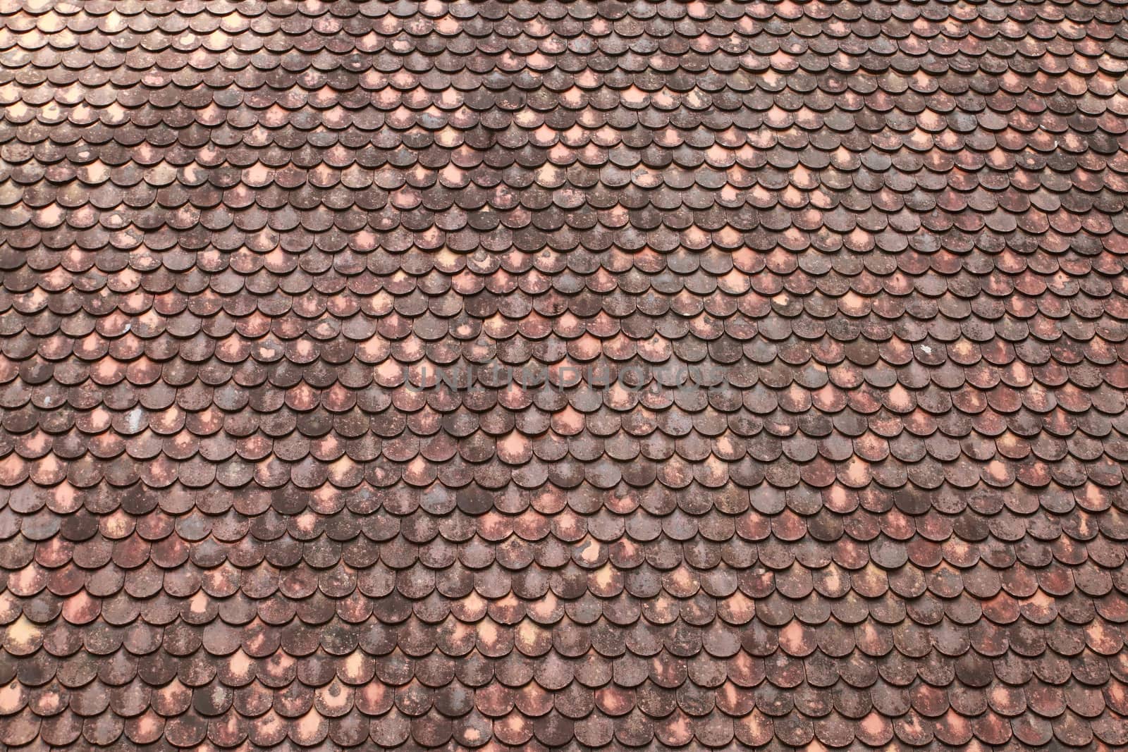 The texture roof made from baked clay.