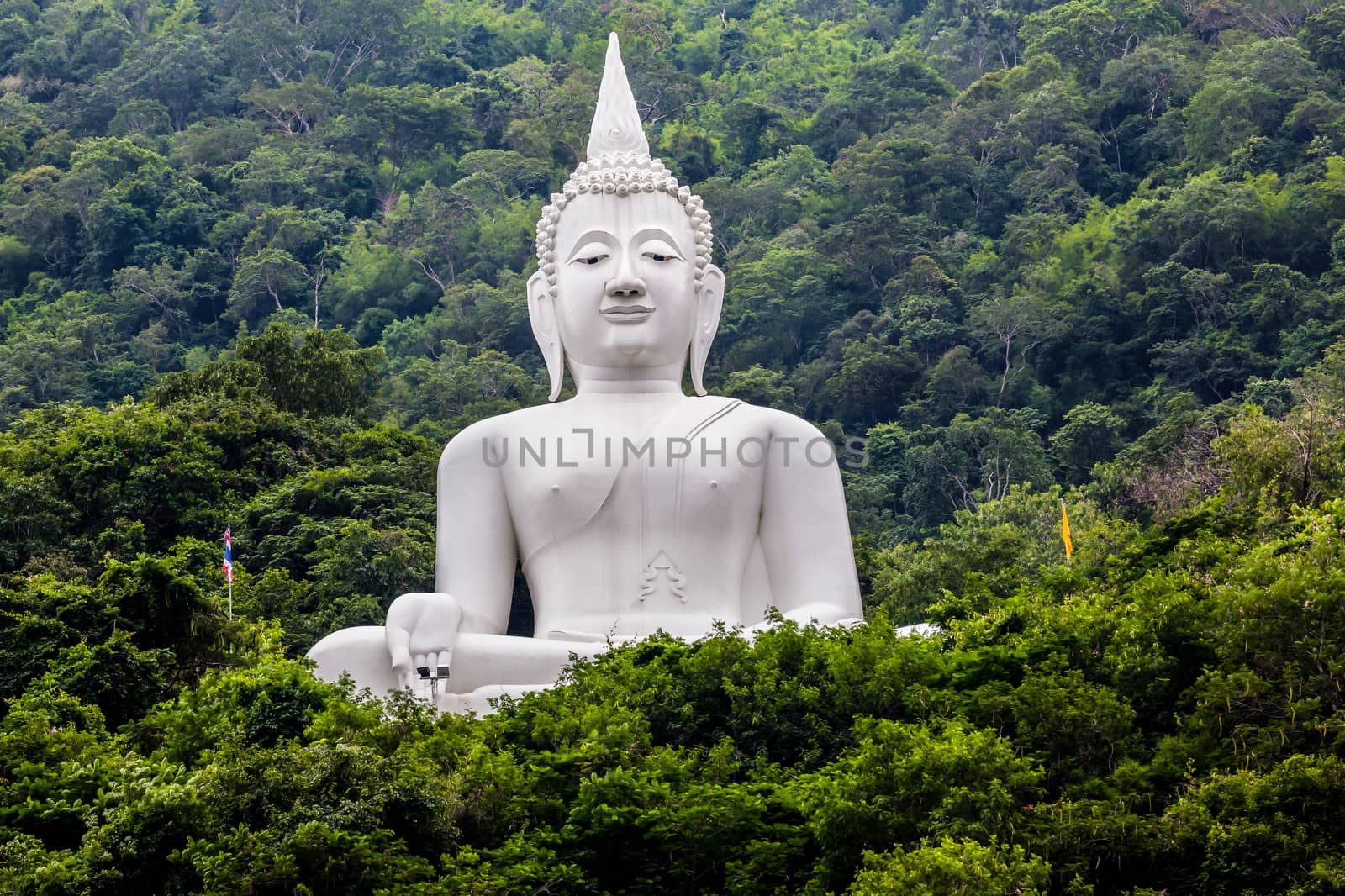 Big Buddha white color, at Wat Thep Phitak Punnaram temple in the mountain and forrest, Korat, Thailand