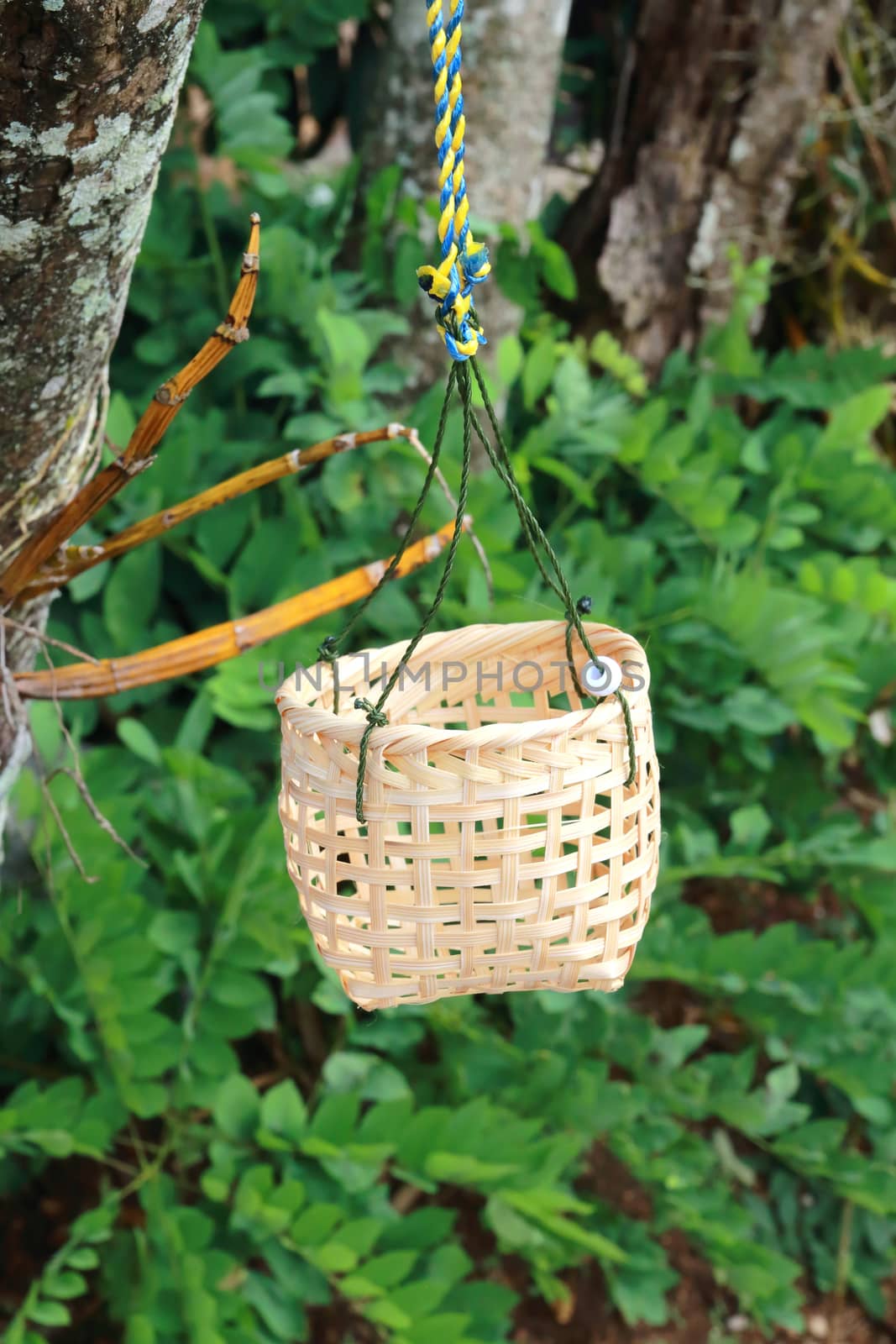 Basket weave for boiled eggs hanging on tree.