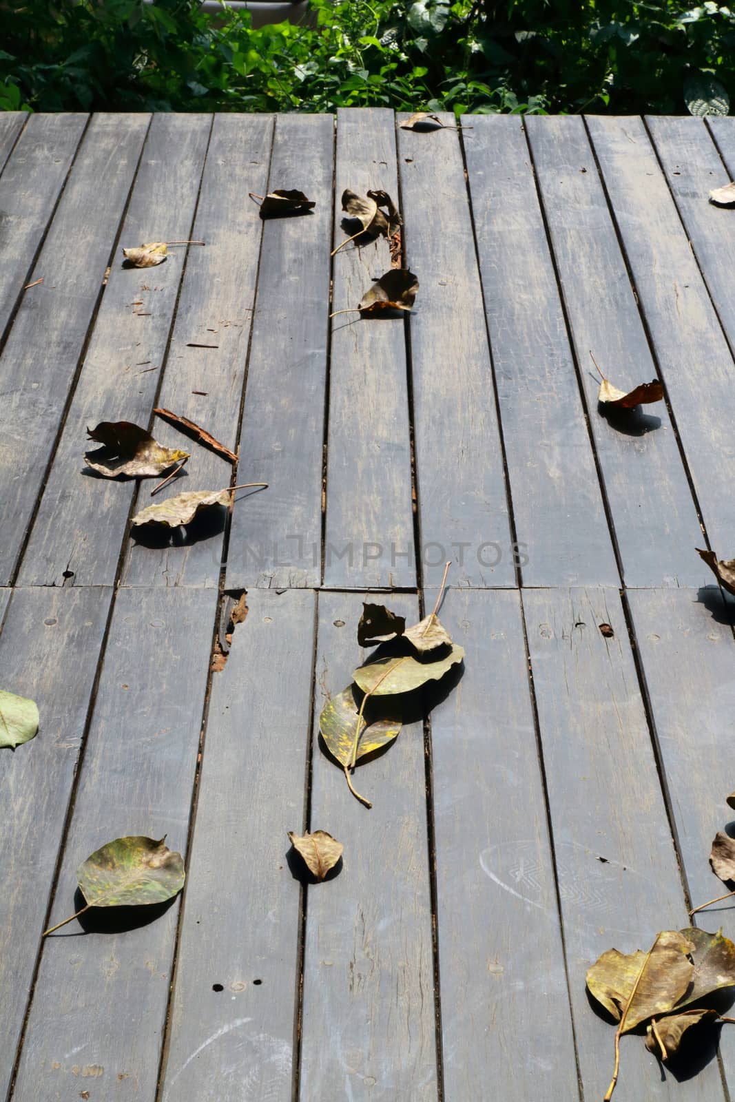 Many dry leaves fall on the wooden floor.